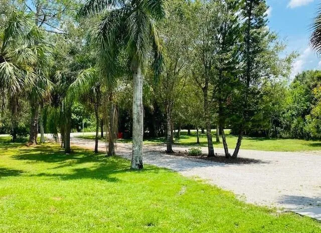 Driveway