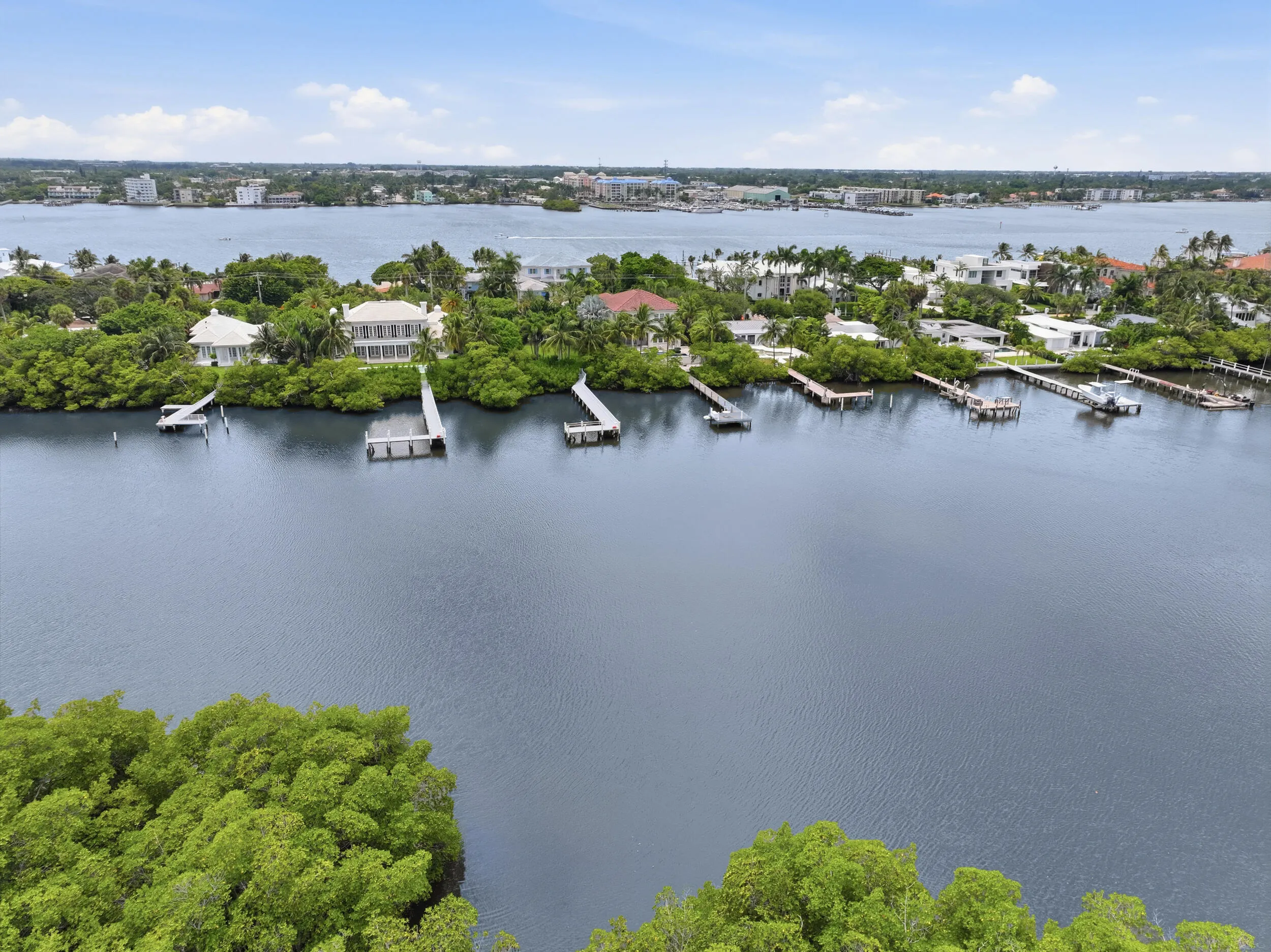 Waterfront properties featuring private docks and mature tropical landscaping
