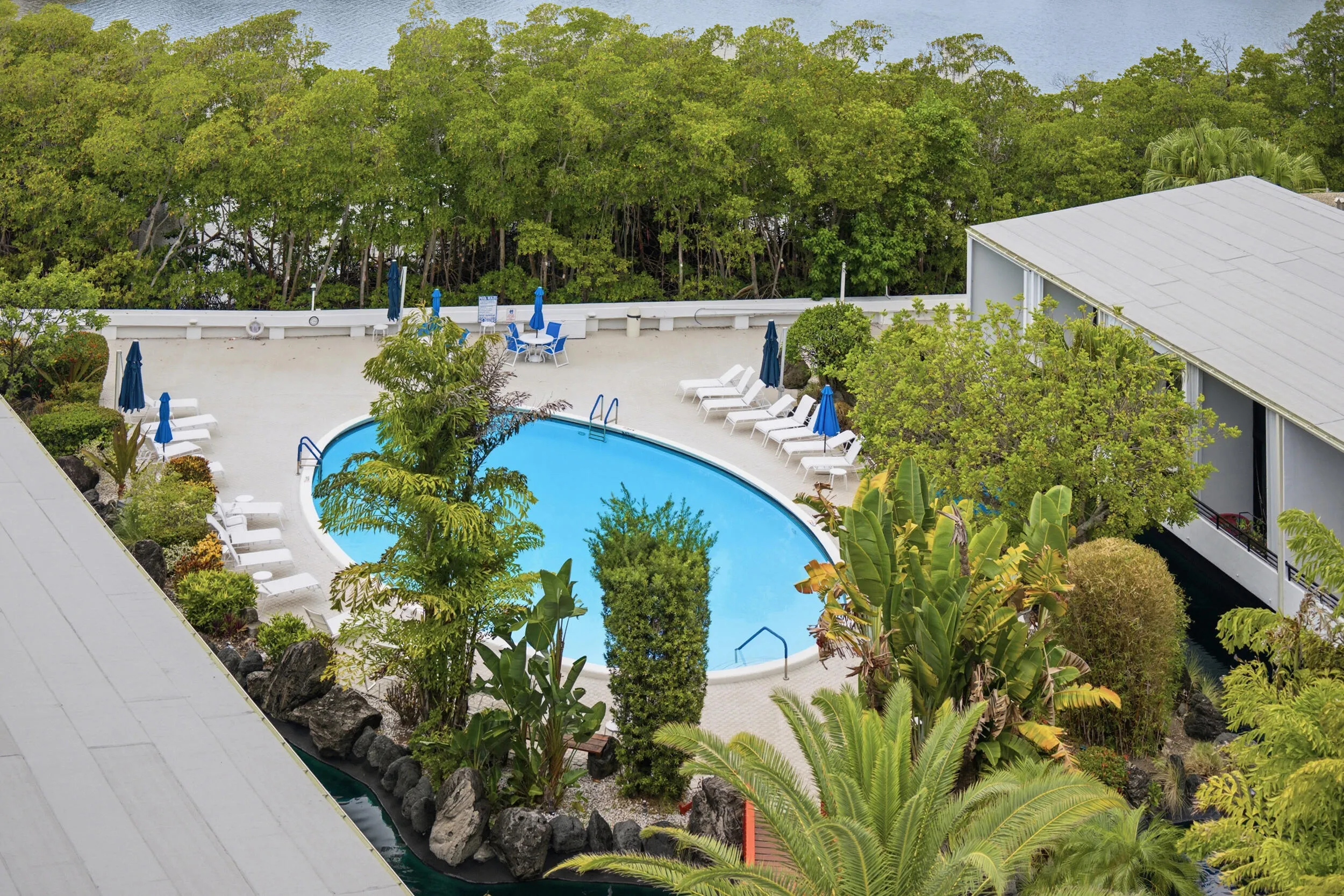 Resort-style pool area featuring an irregularly shaped pool, surrounding deck, and extensive tropical landscaping