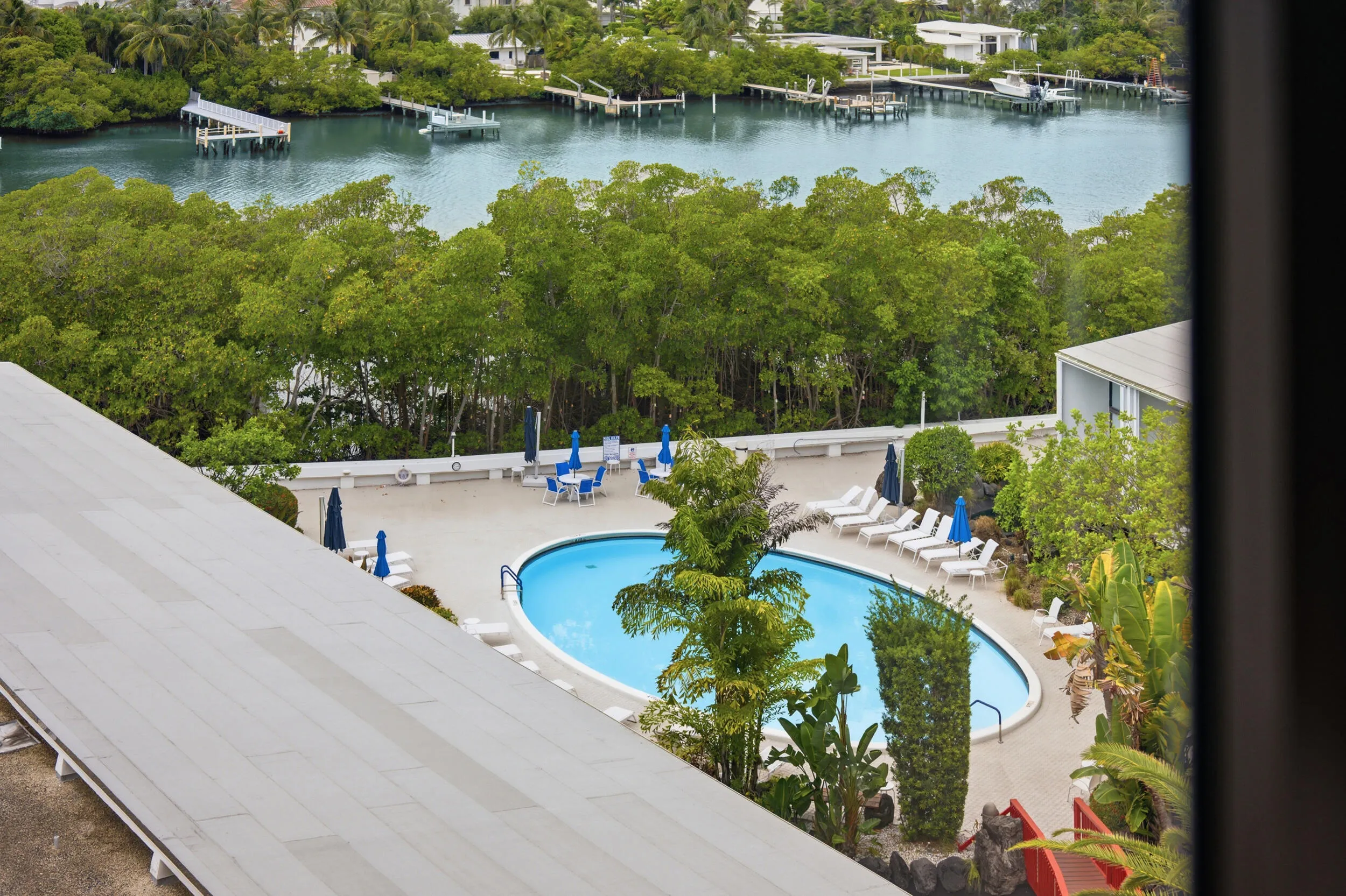 Outdoor swimming pool area with a curvilinear pool, surrounded by tropical landscaping, multiple lounge chairs, and blue patio umbrellas