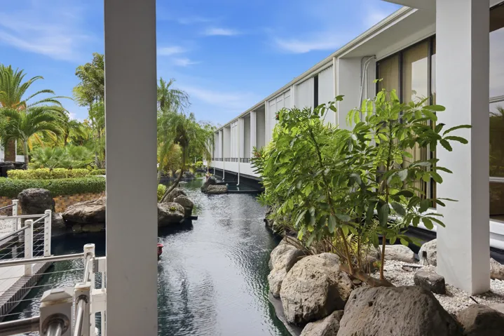 Water feature with established tropical landscaping