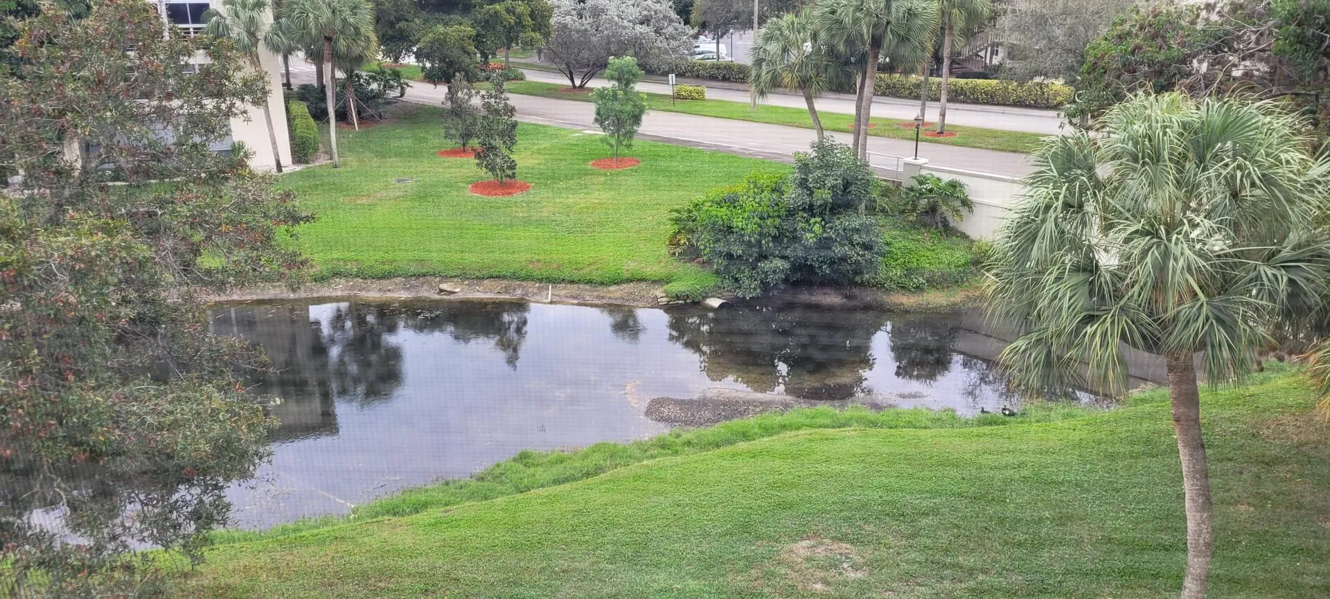 Patio View 1