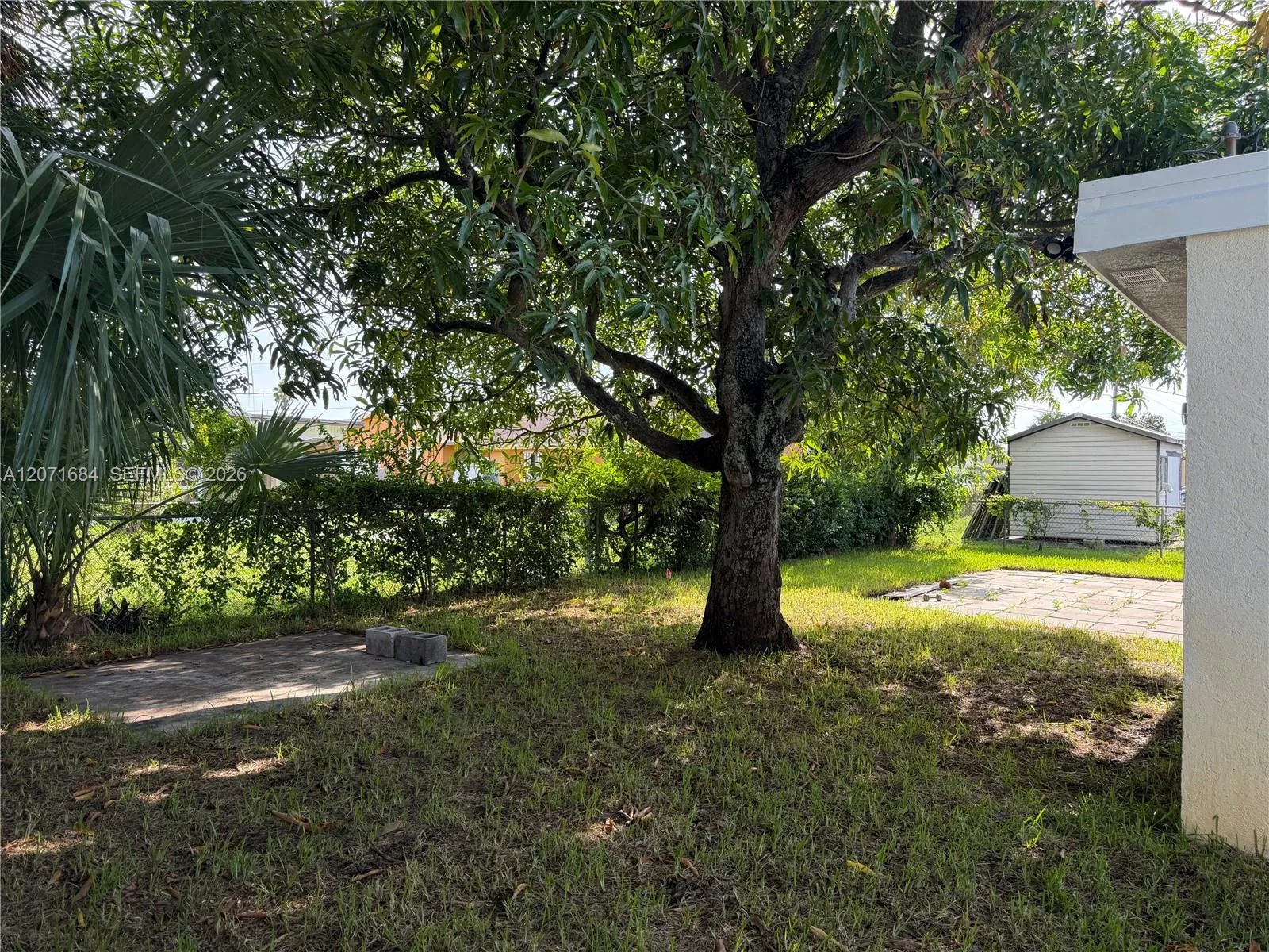 Spacious yard with mature trees
