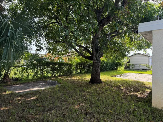 Spacious yard with mature trees