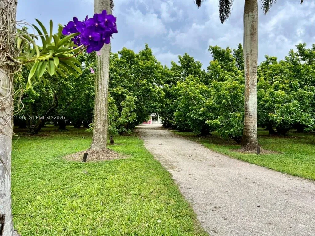 Property photo 46