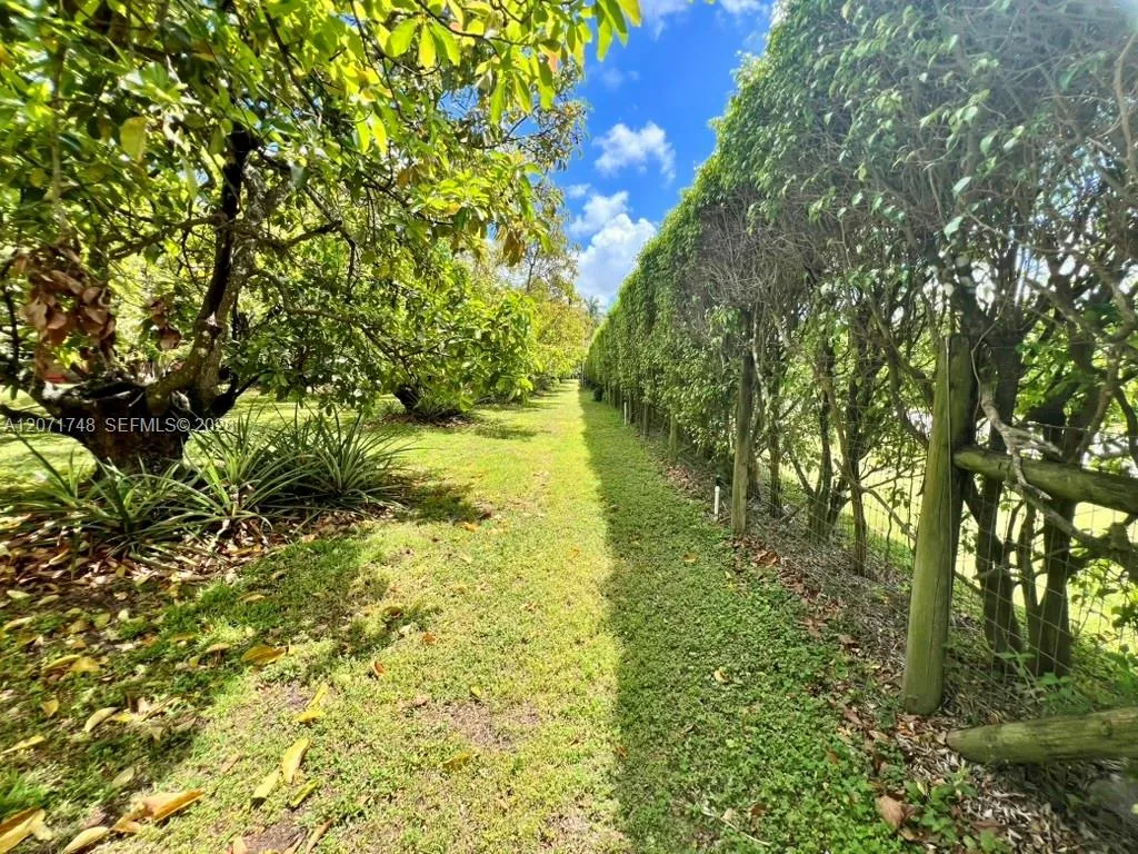 Property photo 42