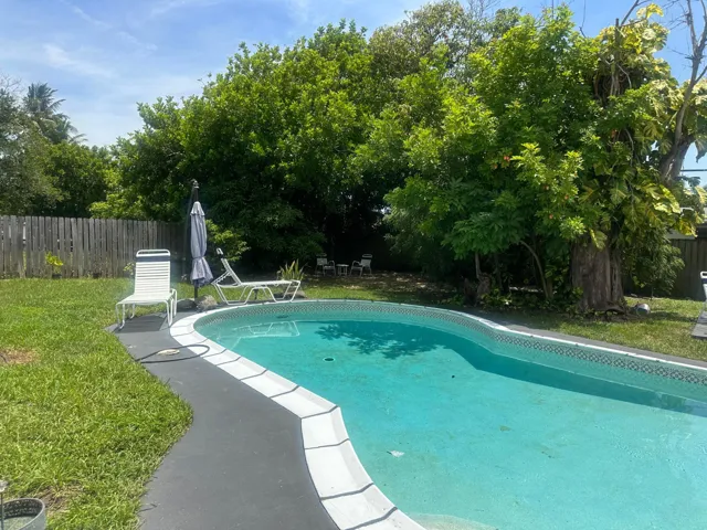 Backyard 2