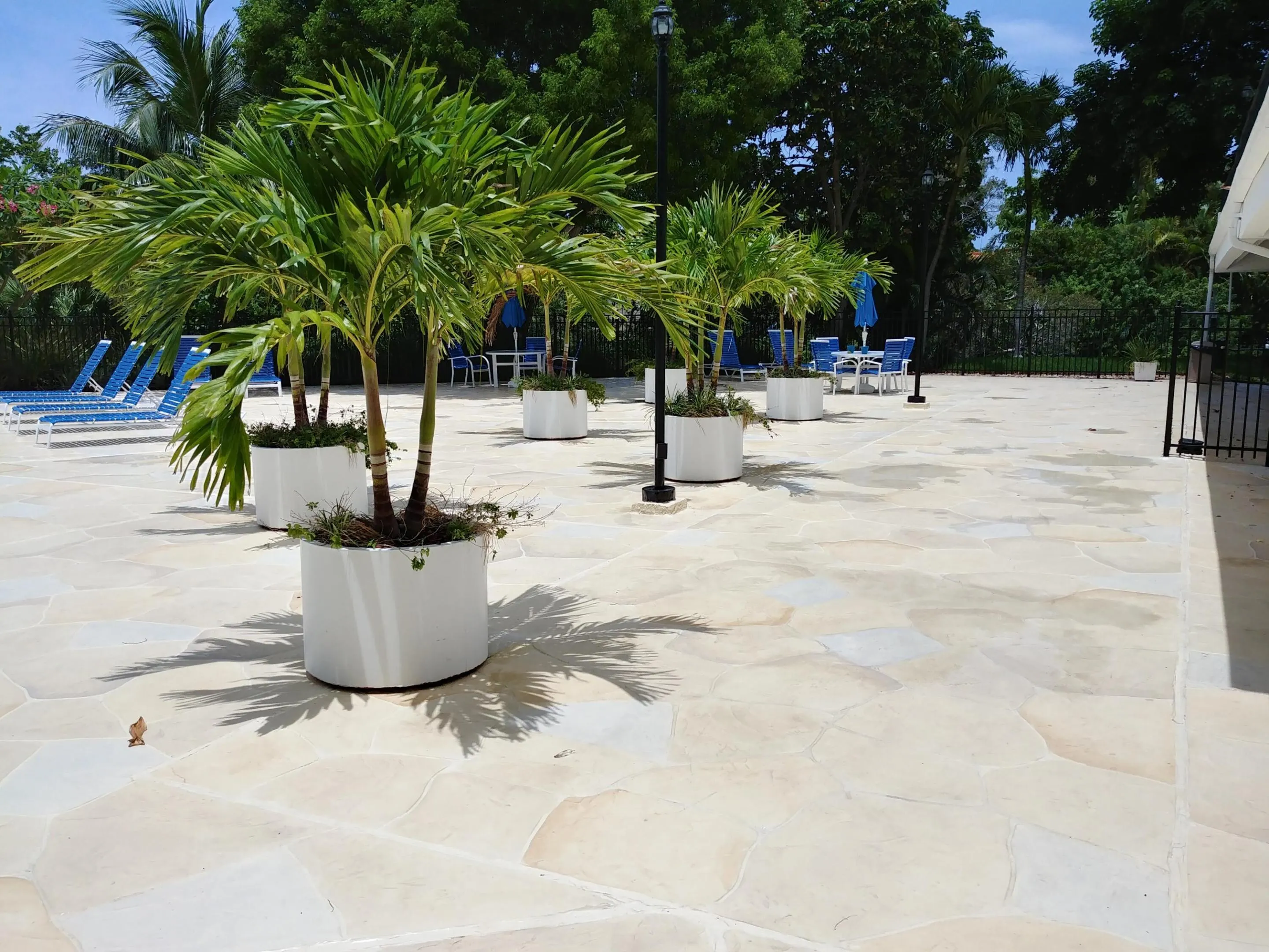 POOL DECK