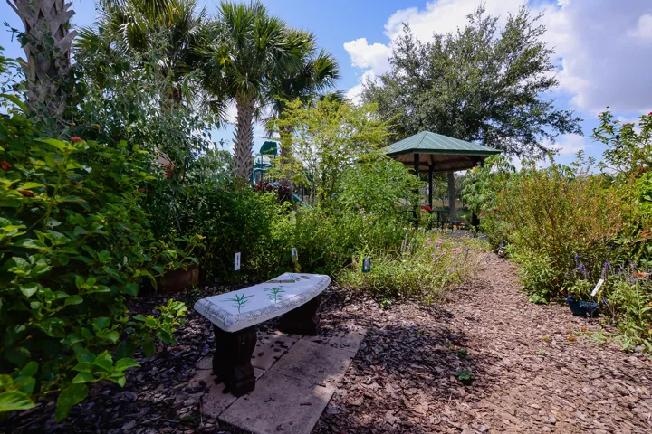 17 - Butterfly Garden