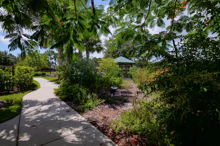 16 - Butterfly Garden