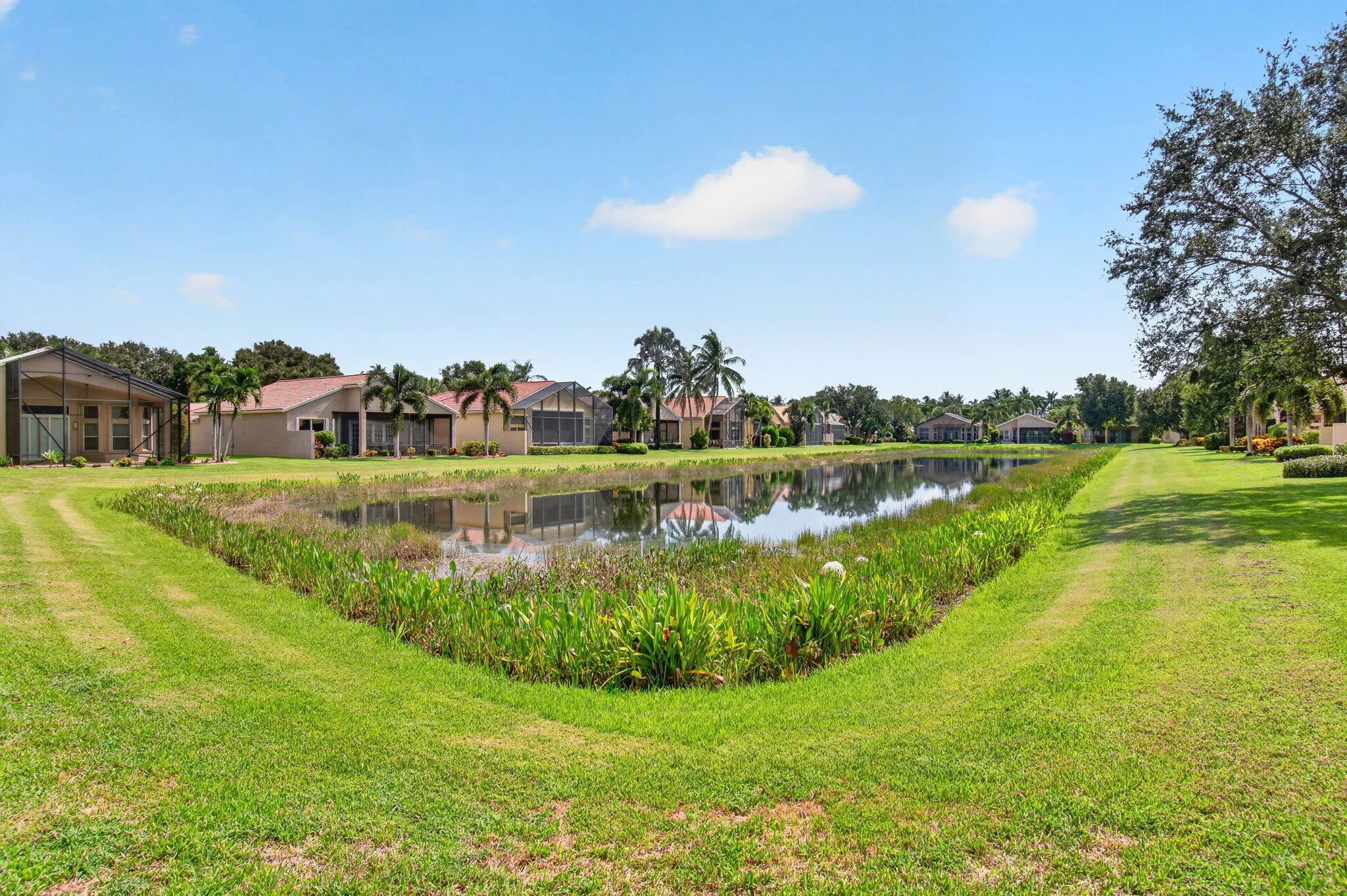Lake View
