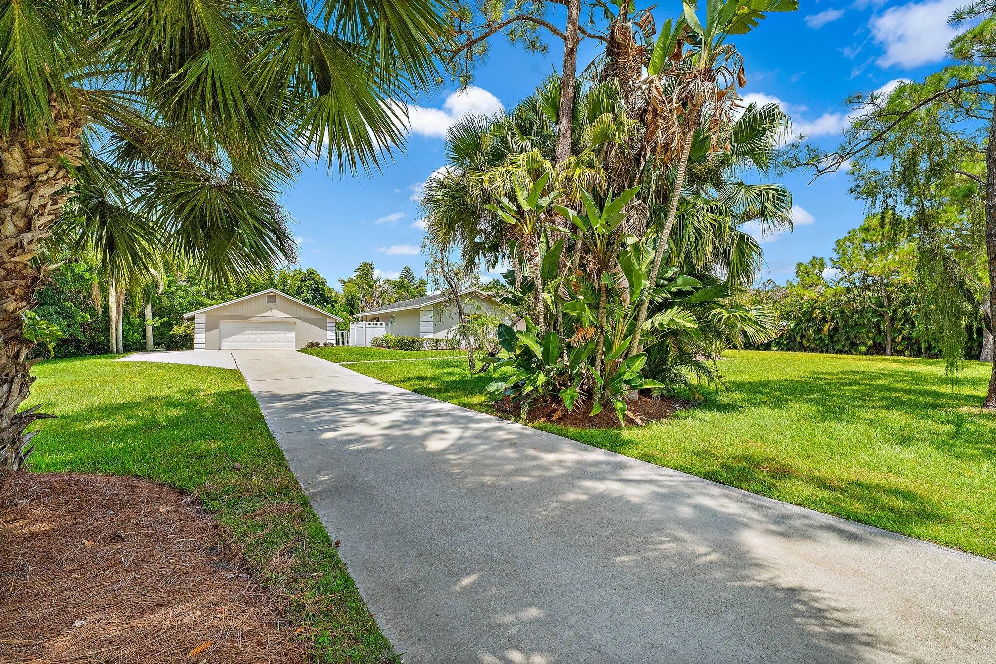 spacious front + back yard, fenced.