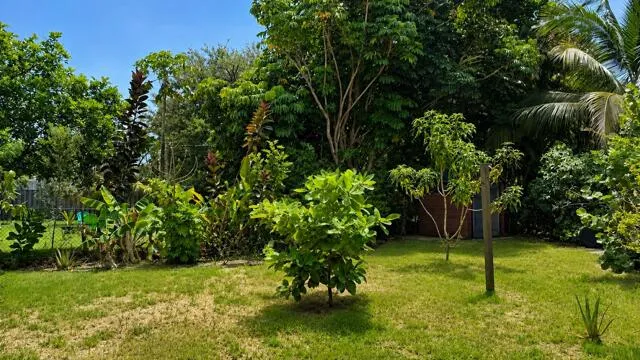 large backyard