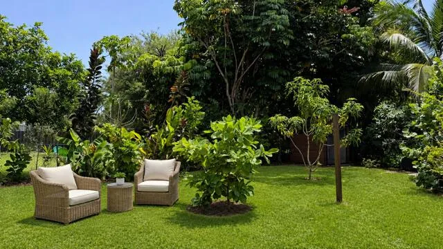 Staged private backyard