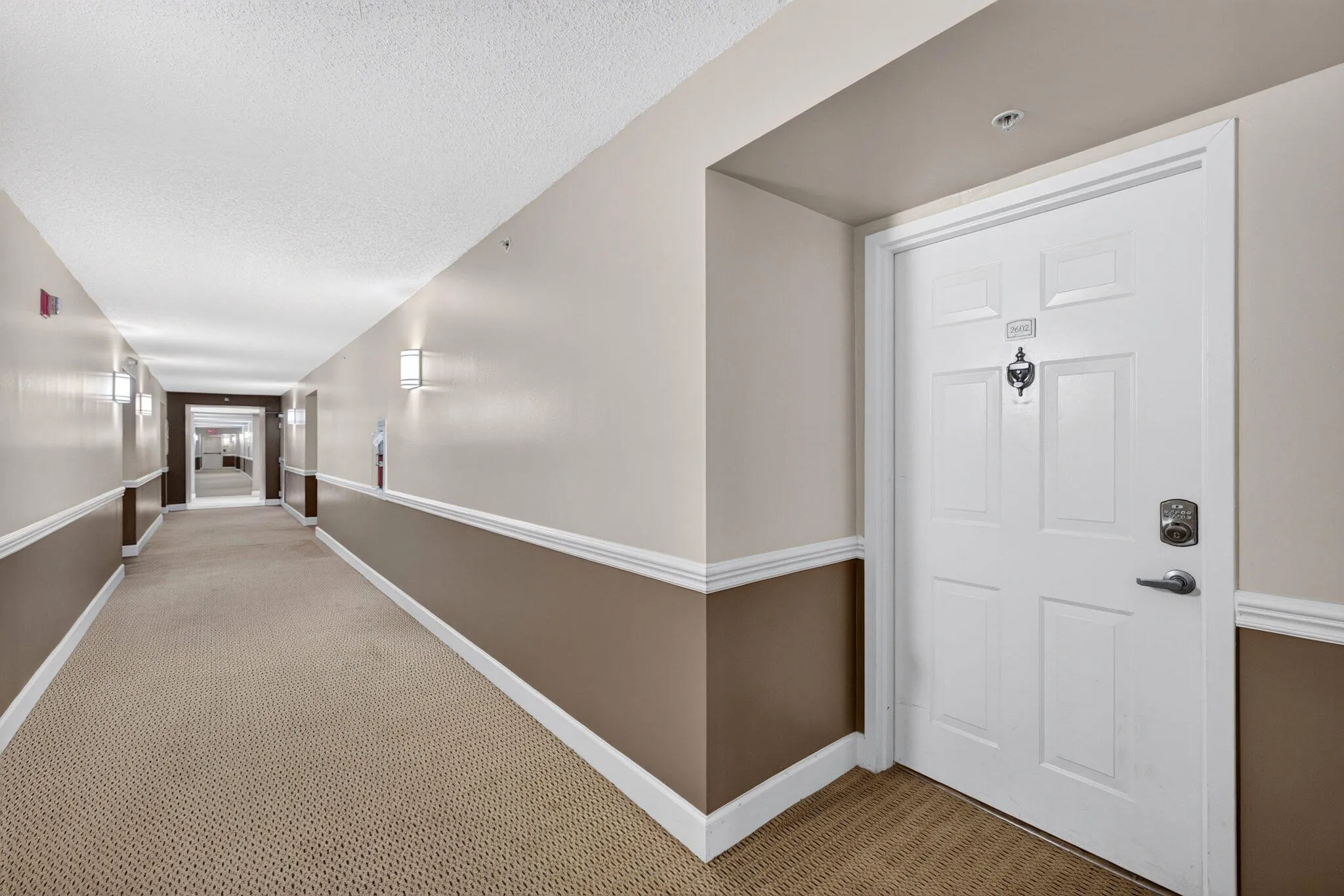 12-web-or-mls-699A8056