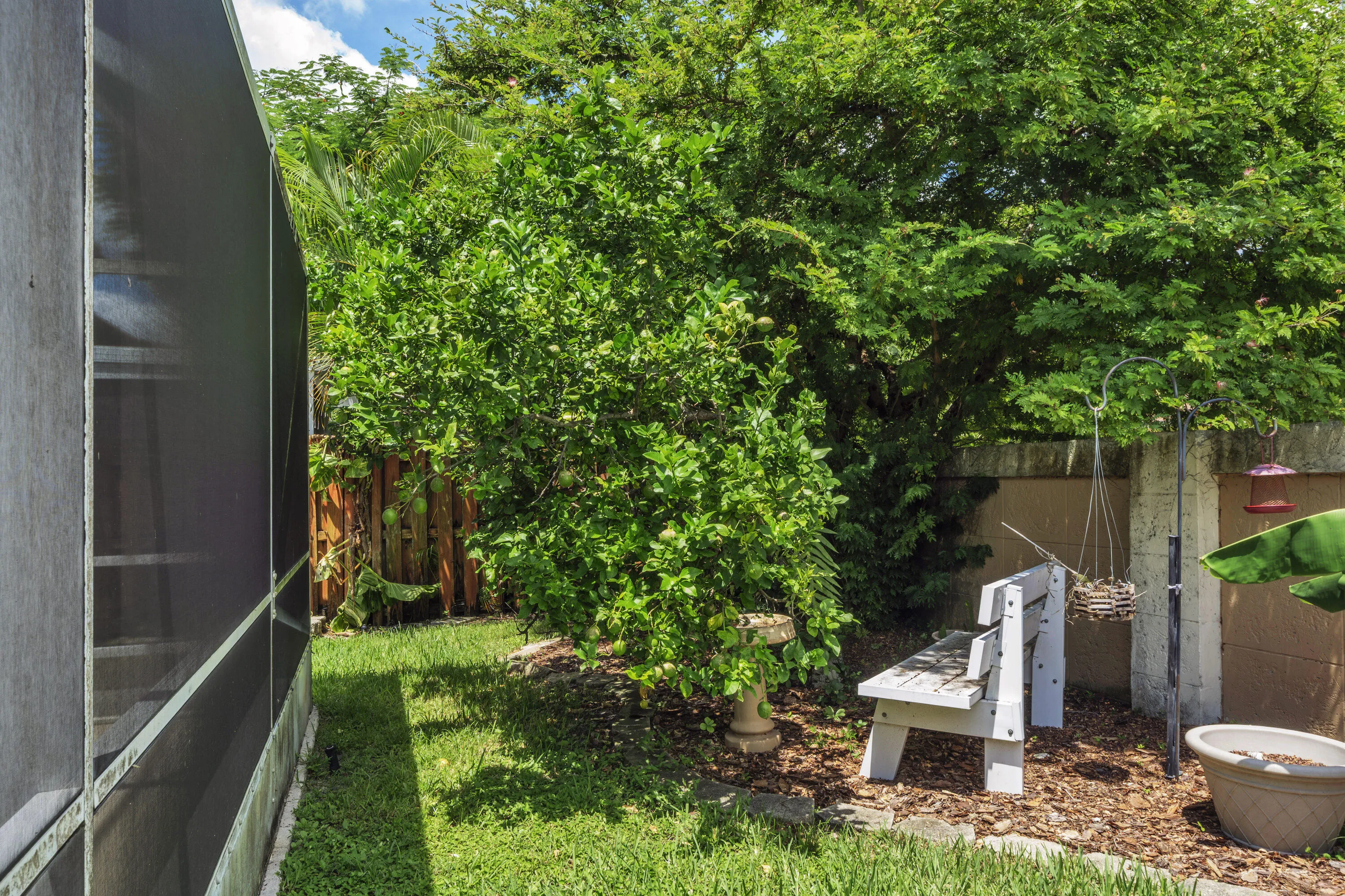 13 Backyard views (1)