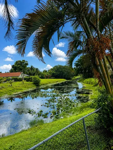 Peaceful Canal View