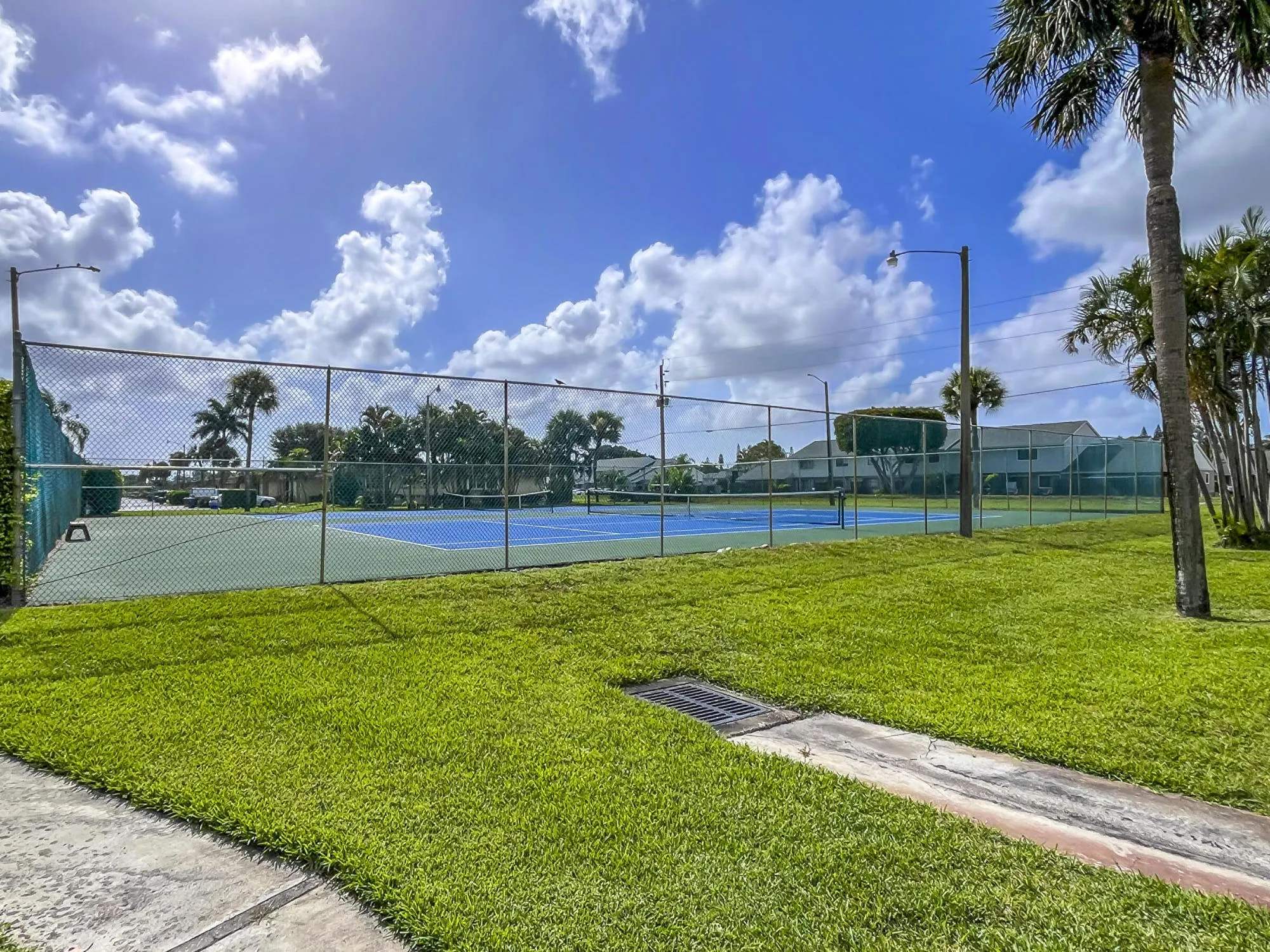 tennis