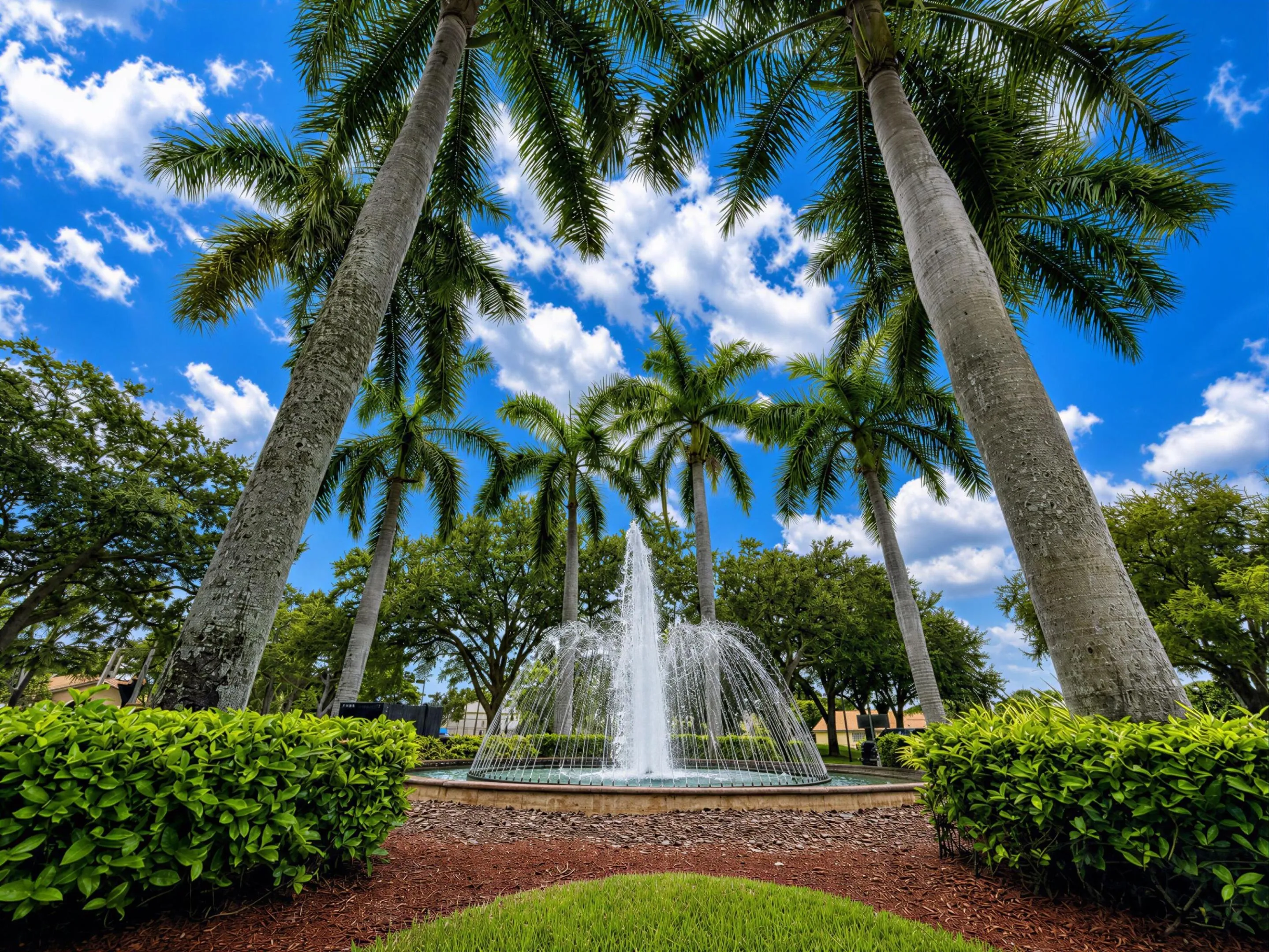 Fountain