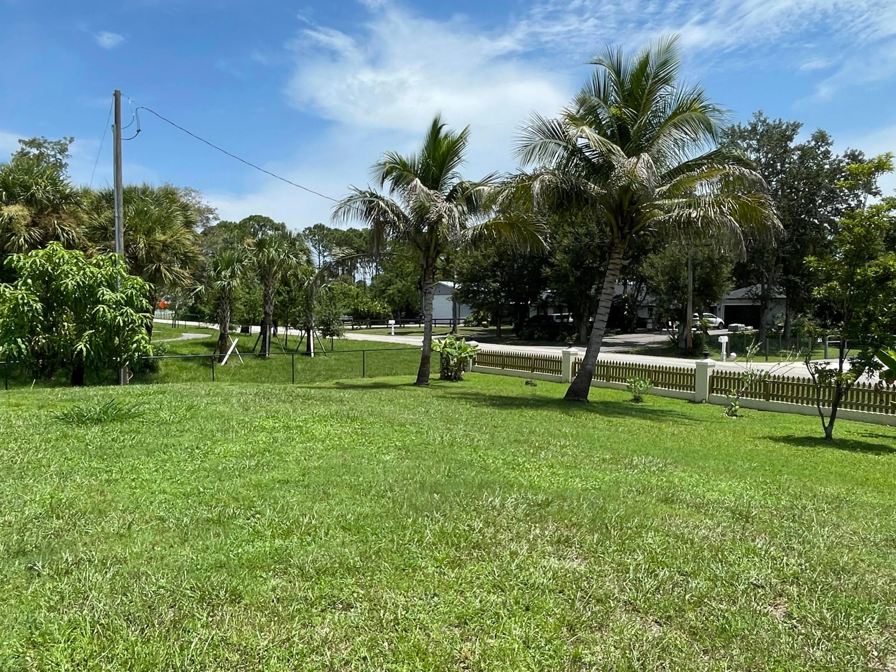 Front Yard View