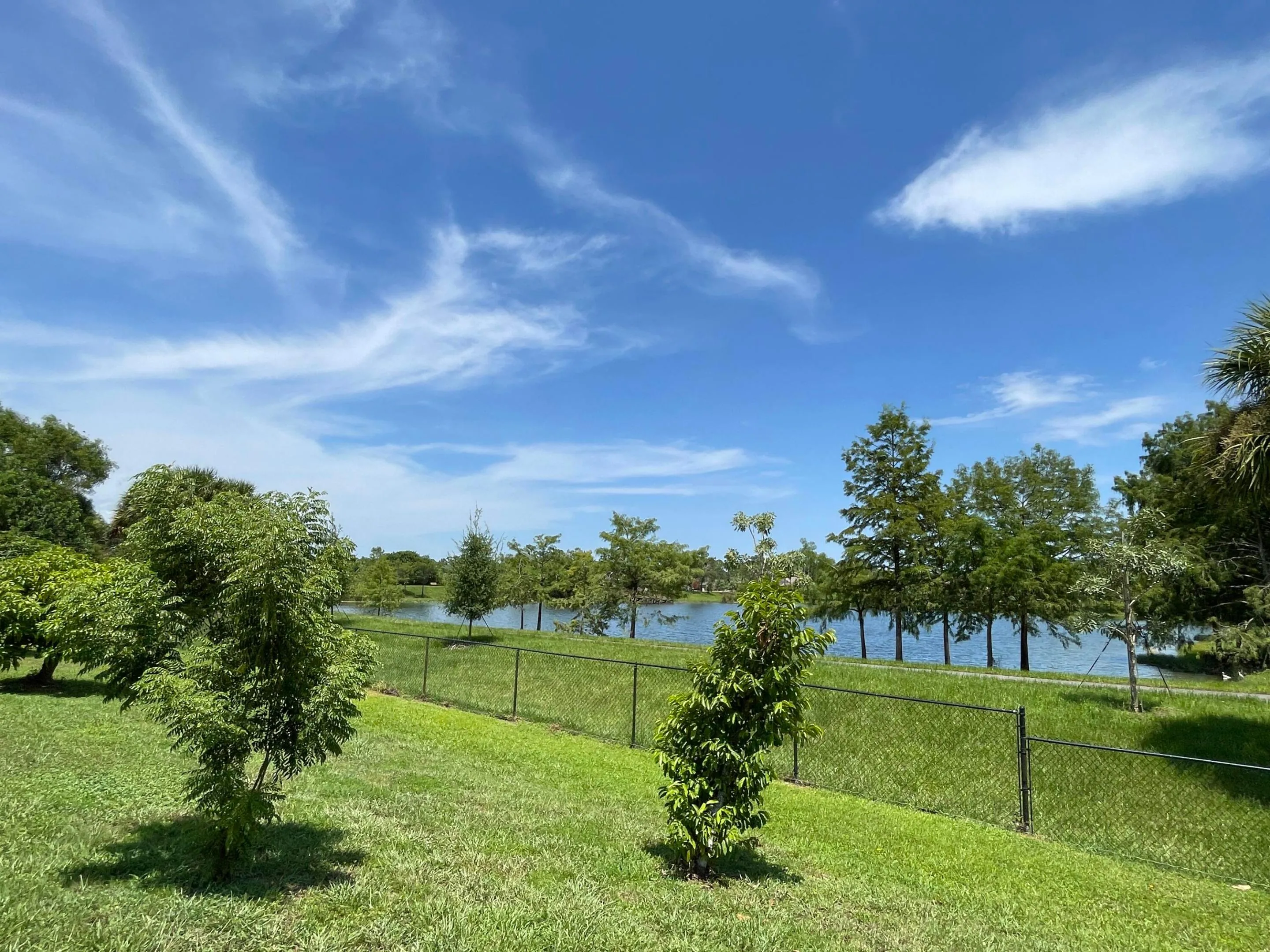 Water View