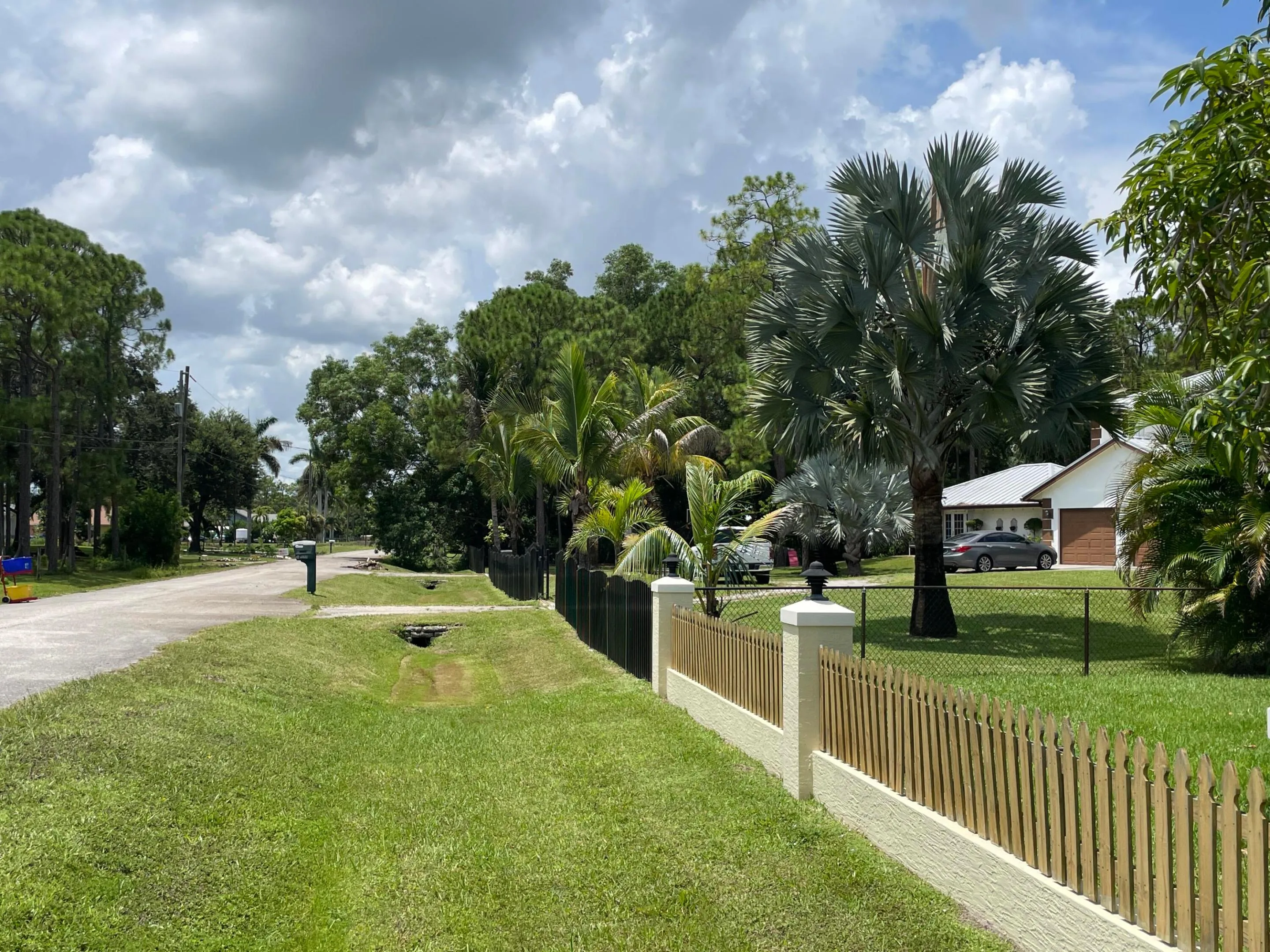 Street Scene