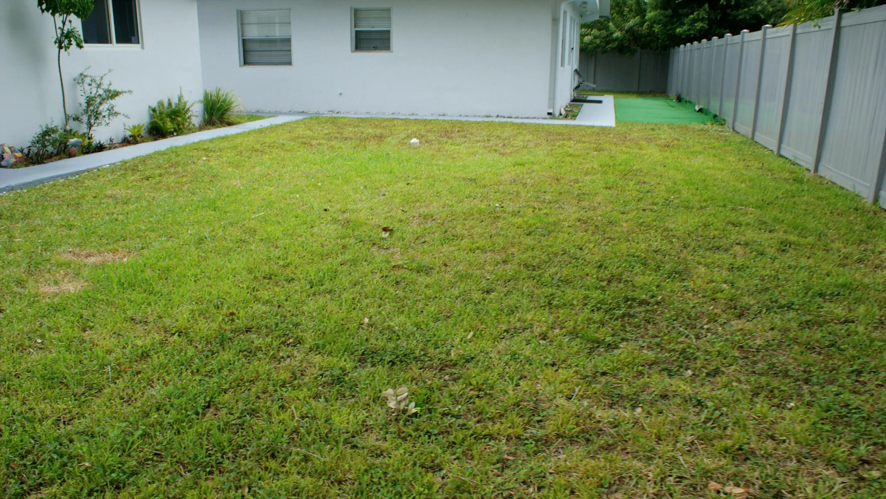Yard 1