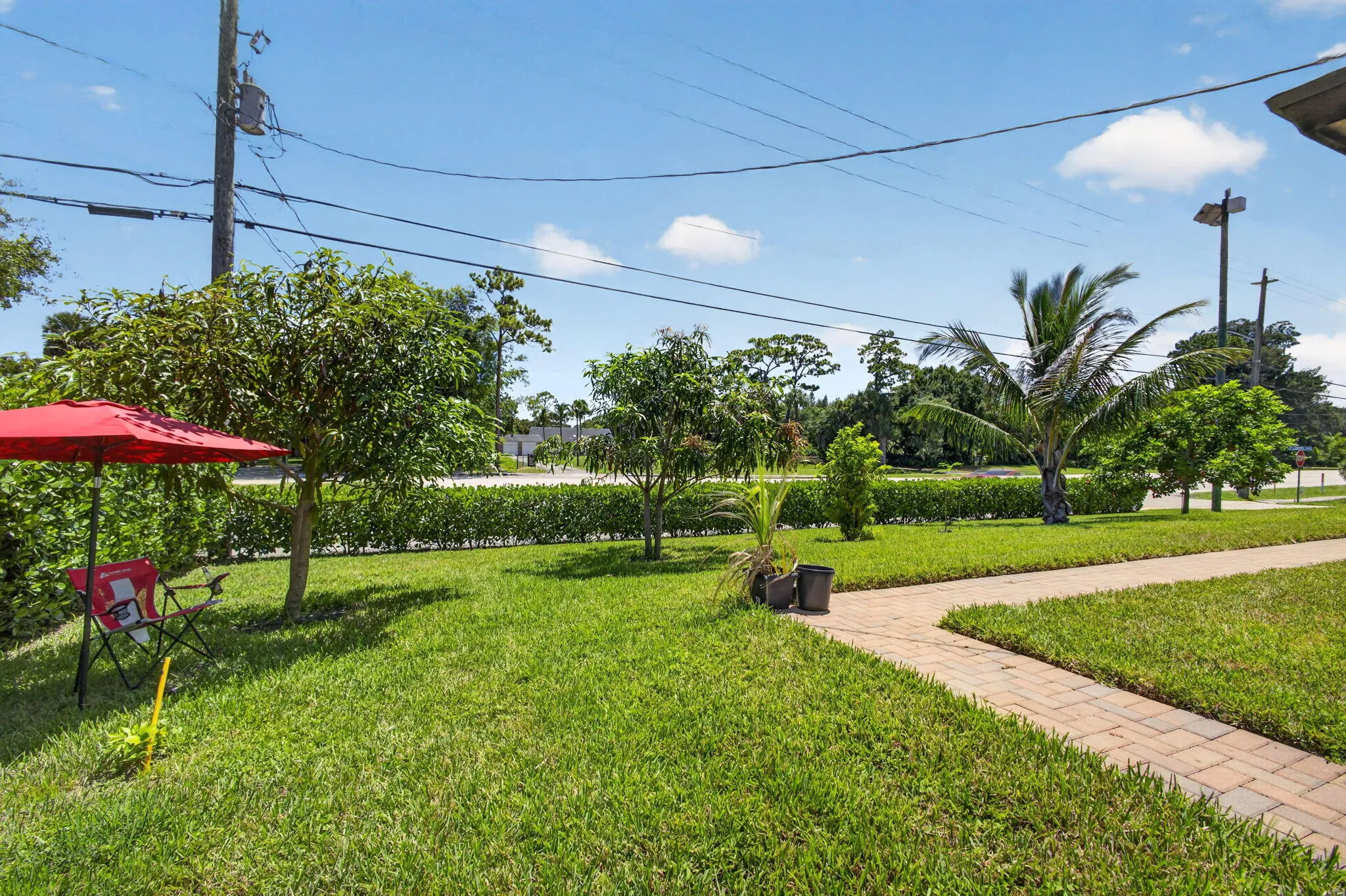 54-web-or-mls-5D1A0108