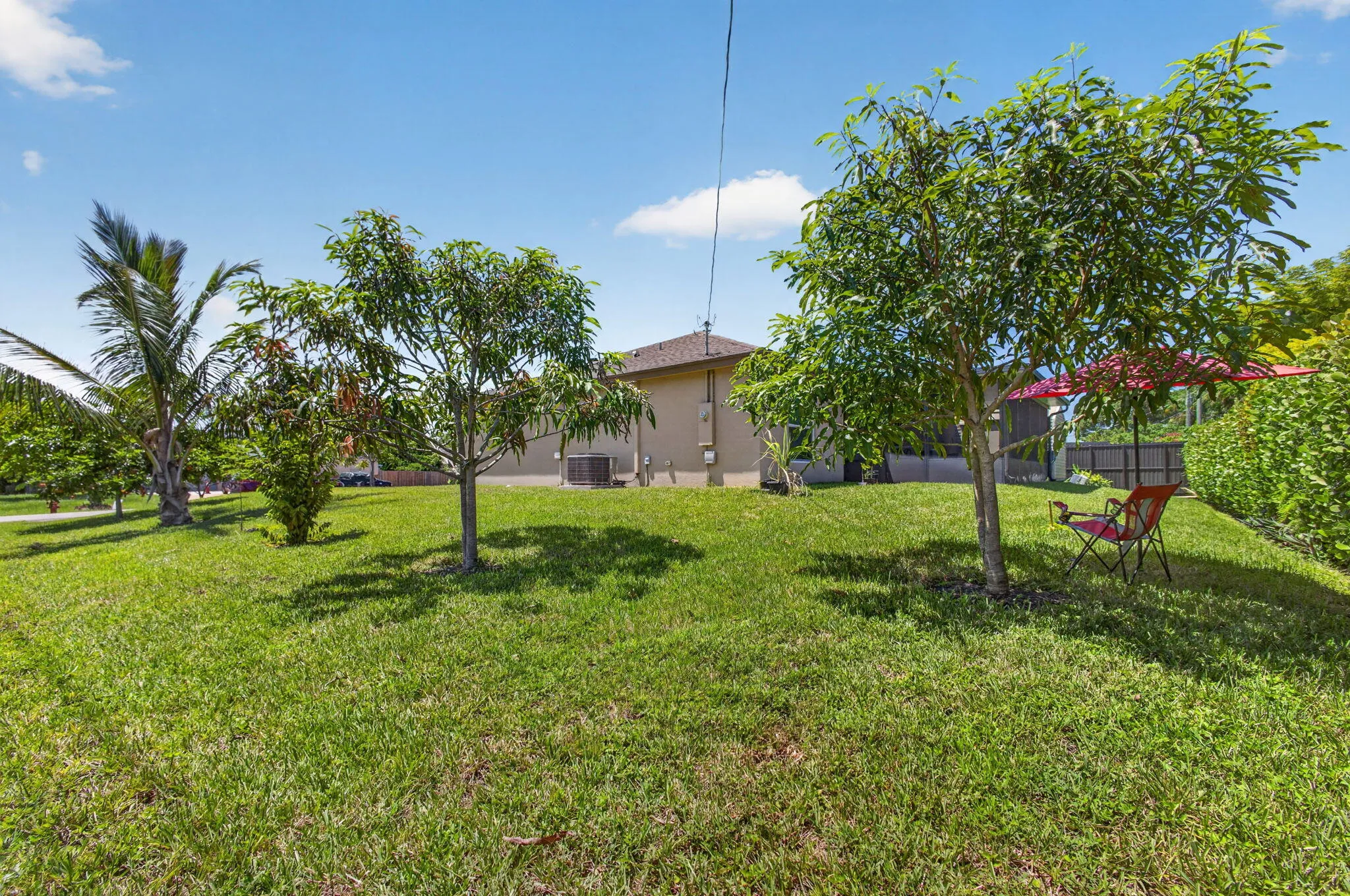 55-web-or-mls-5D1A0112