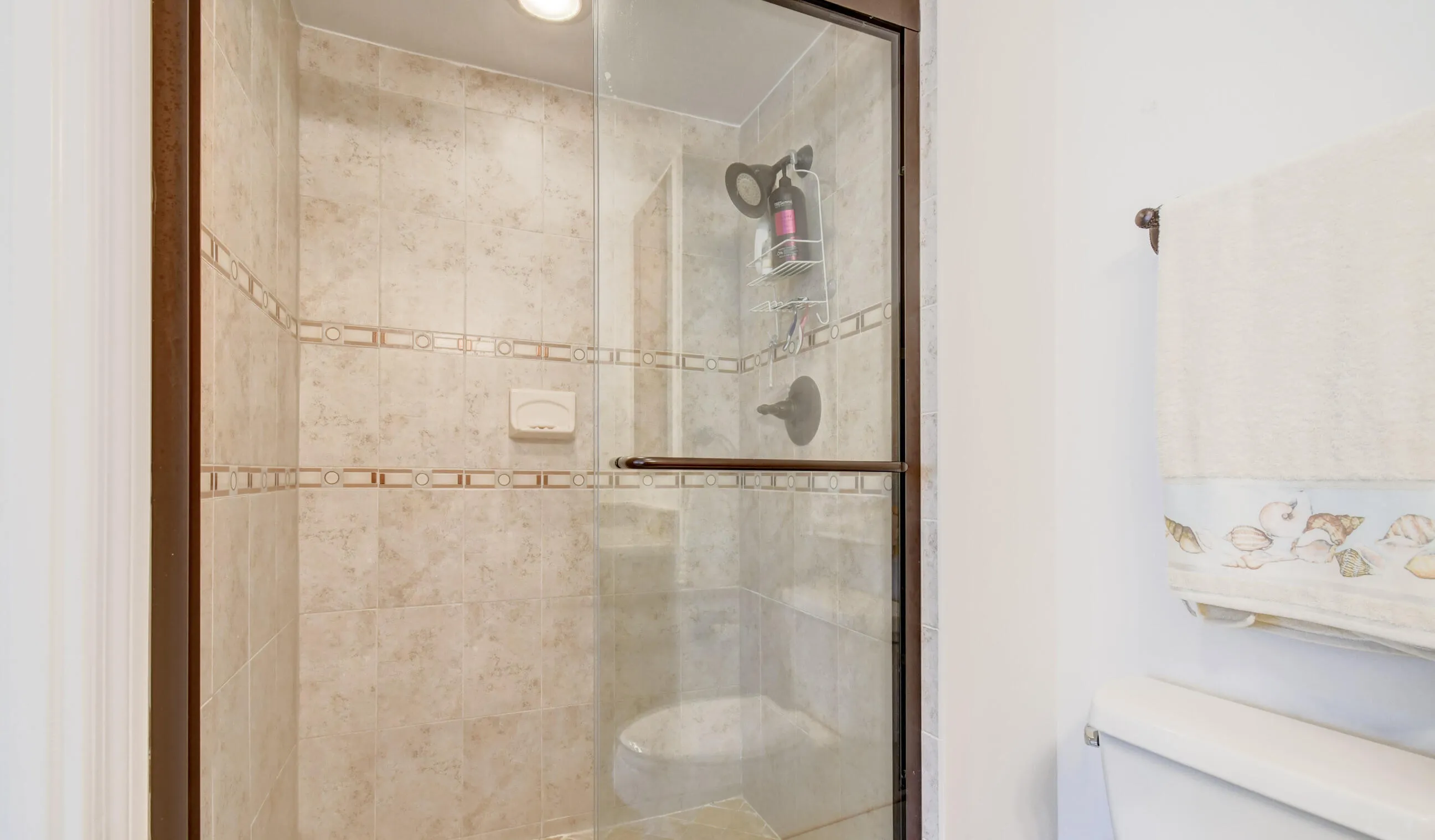 Walk In Shower