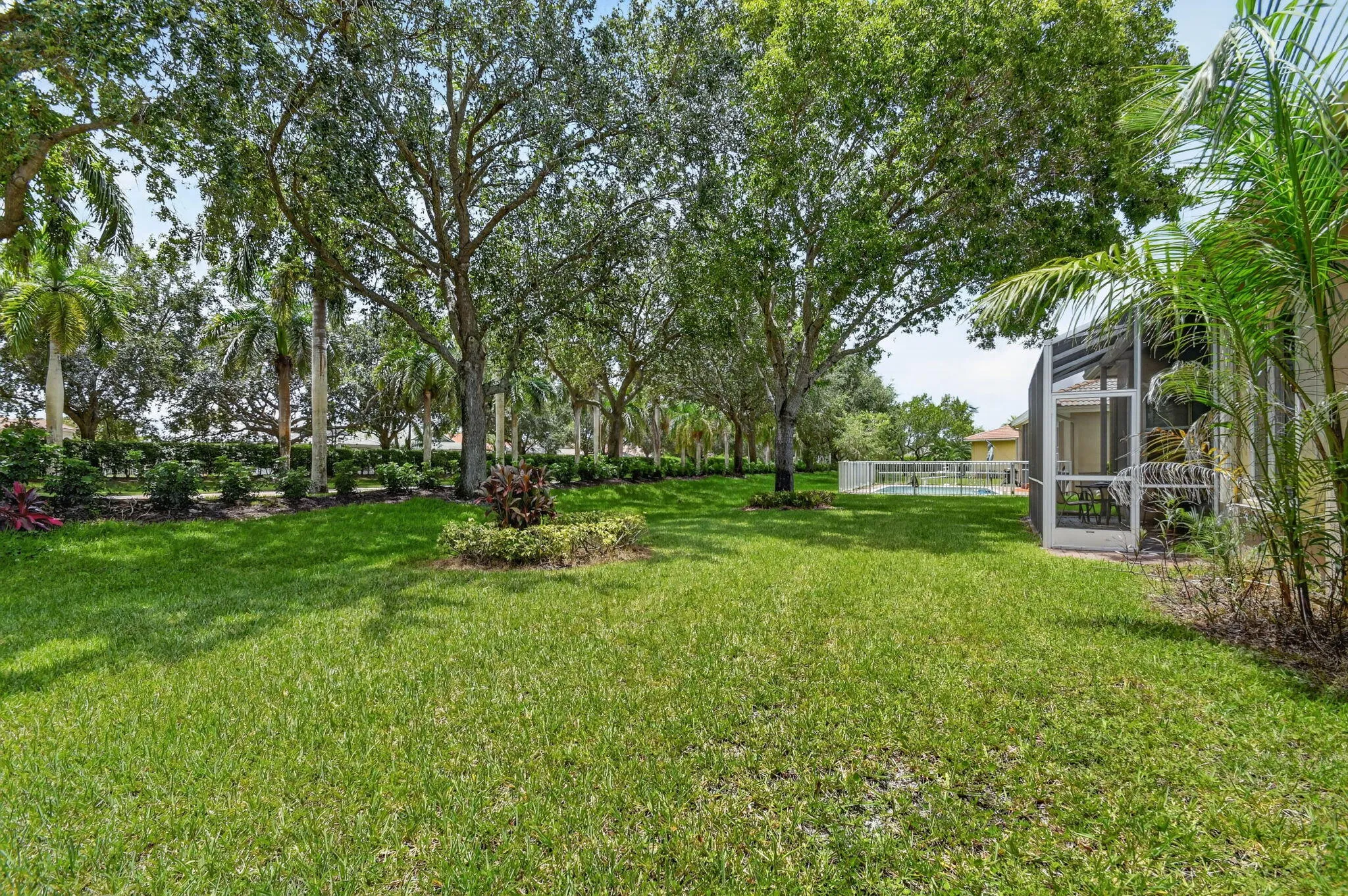 rear yard