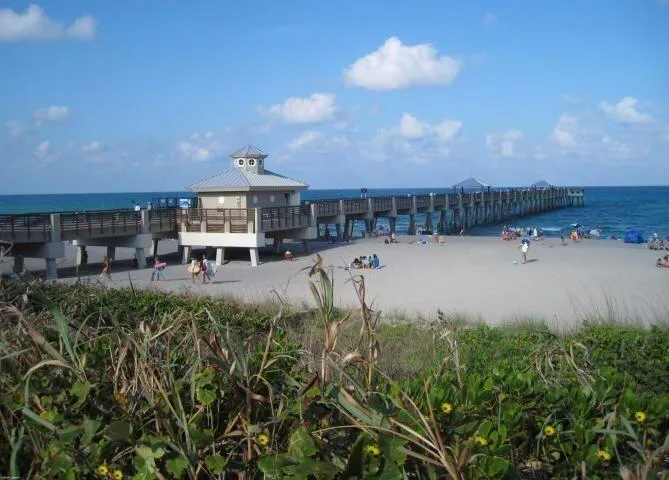 Juno Pier to watch the turtles hatch