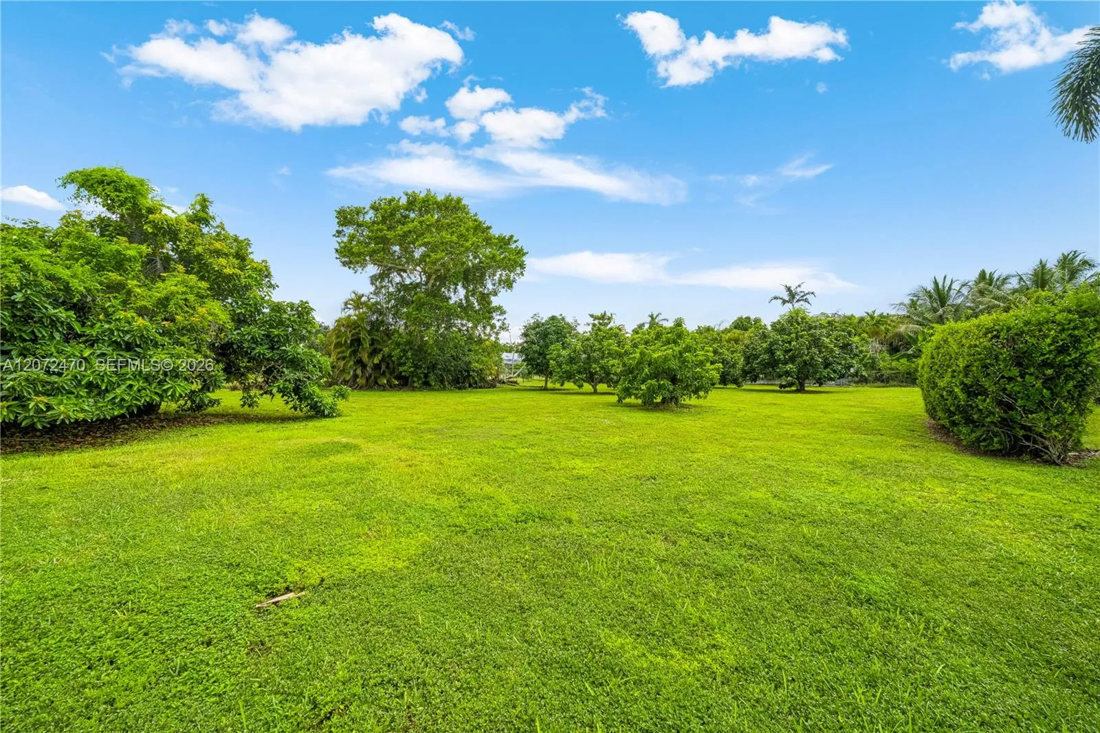 Property photo 47