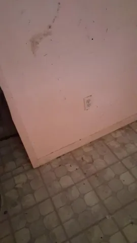7778591217905467275 (2)