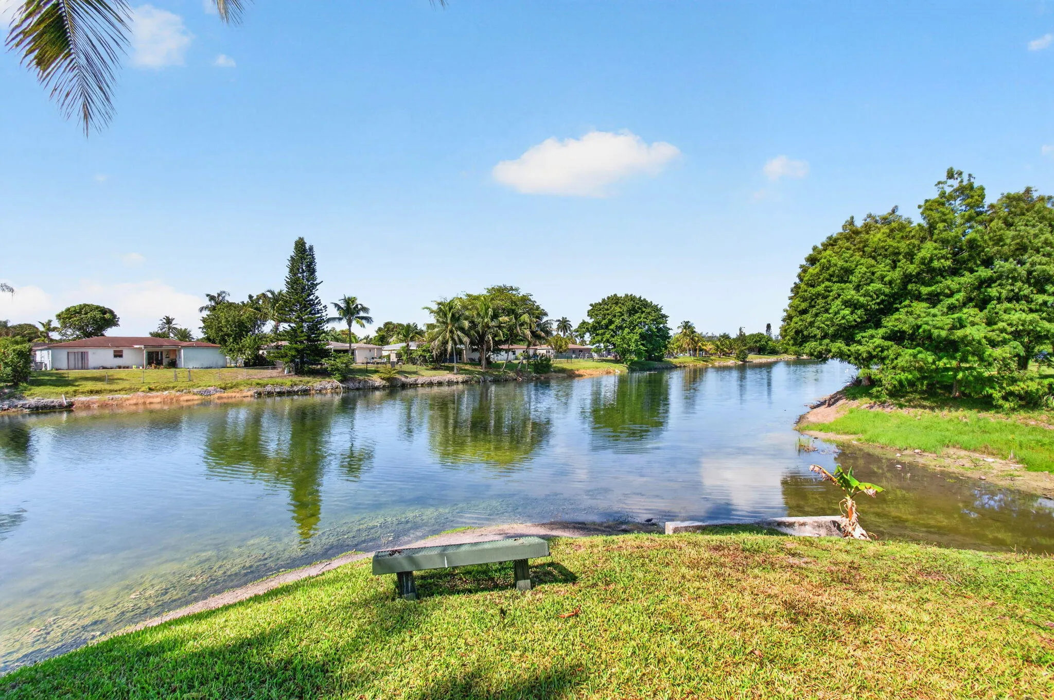 71-web-or-mls-DSC_6304