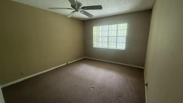 master window