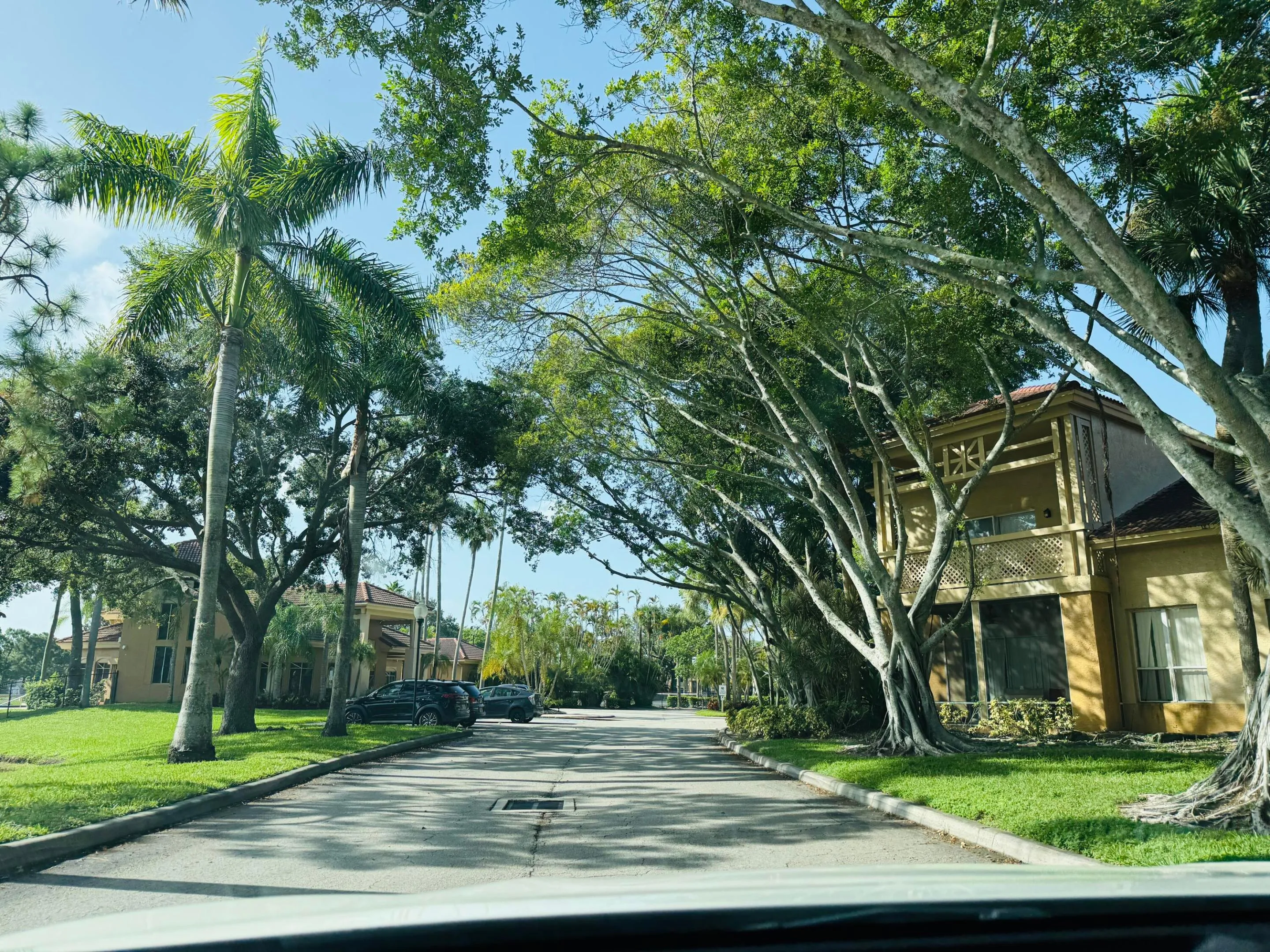 Palm Lakes
