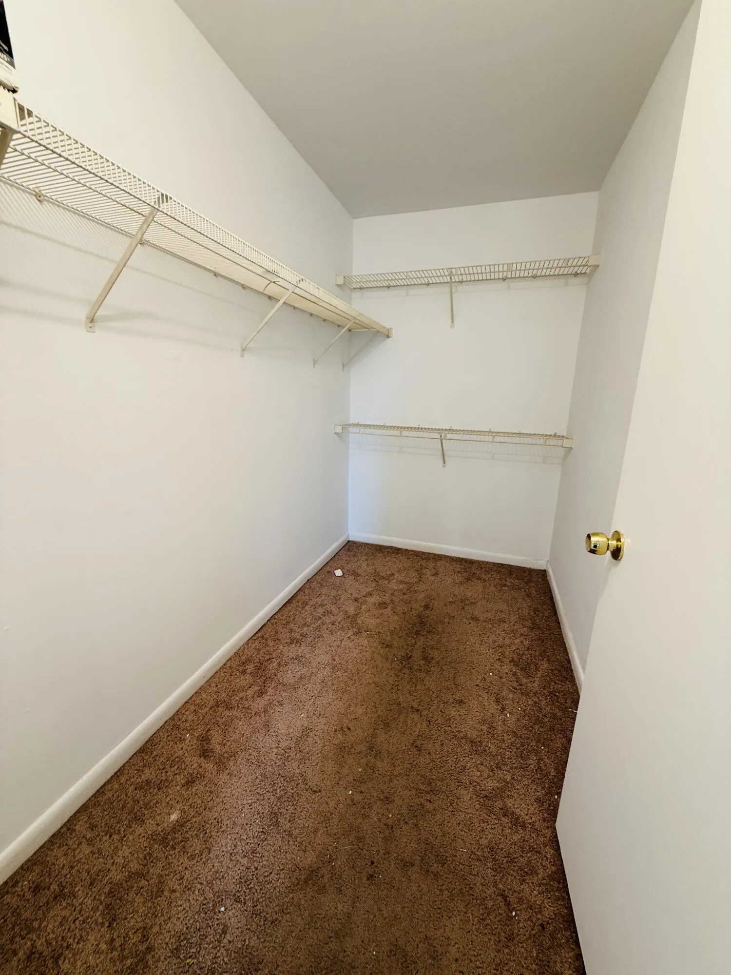 First floor BR walk-in closet