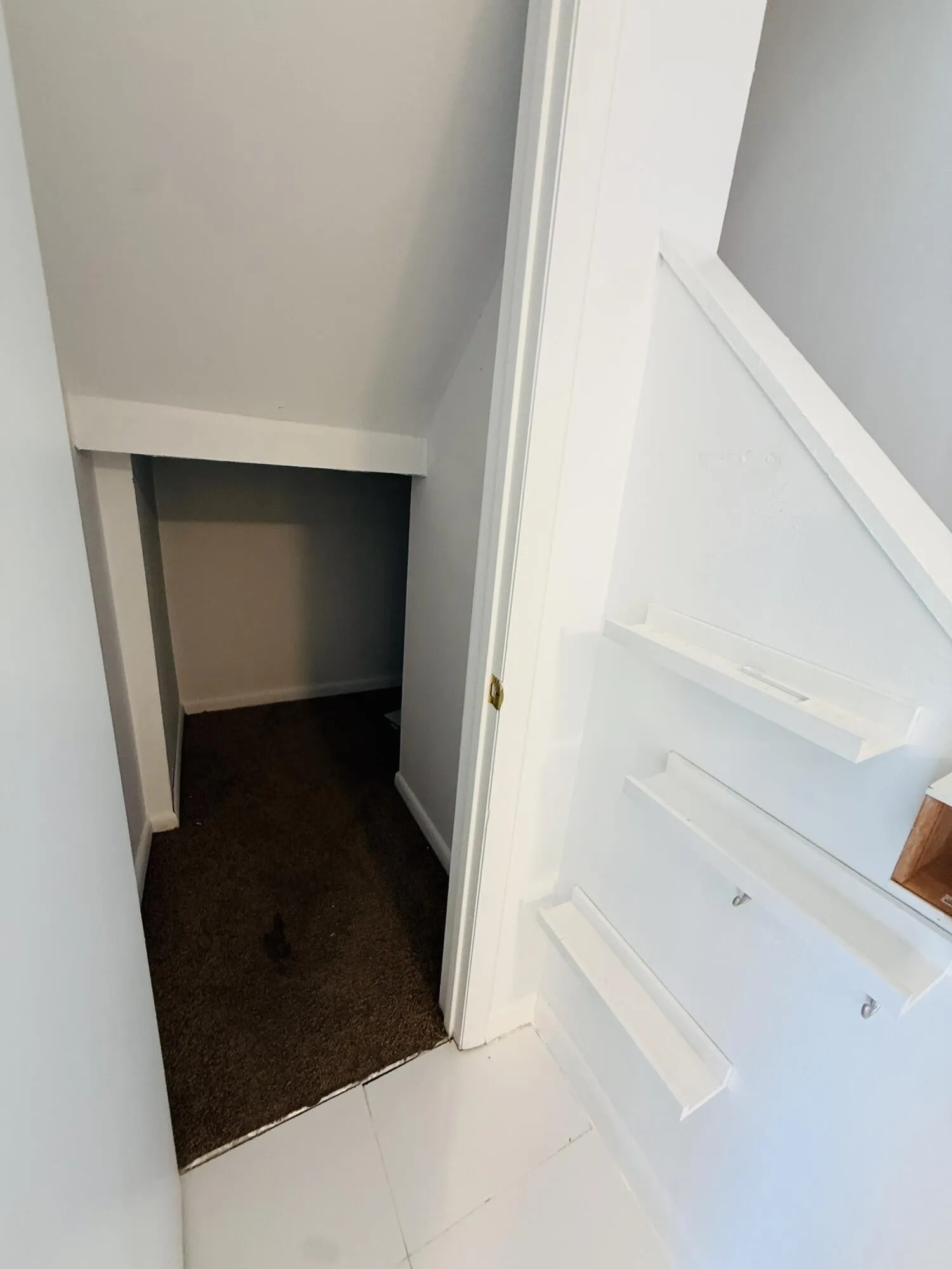 Extra storage under steps