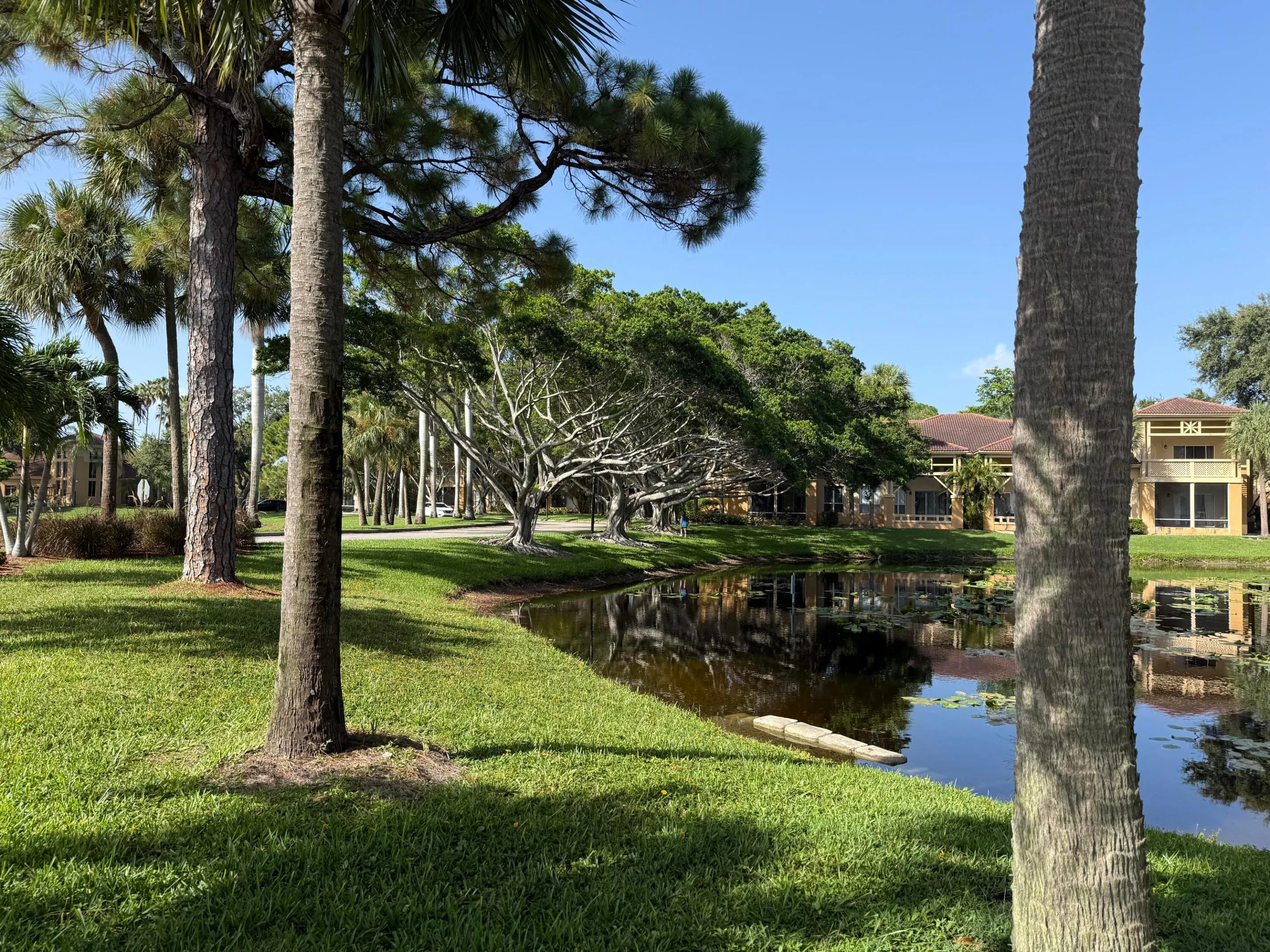 Lush landscaping