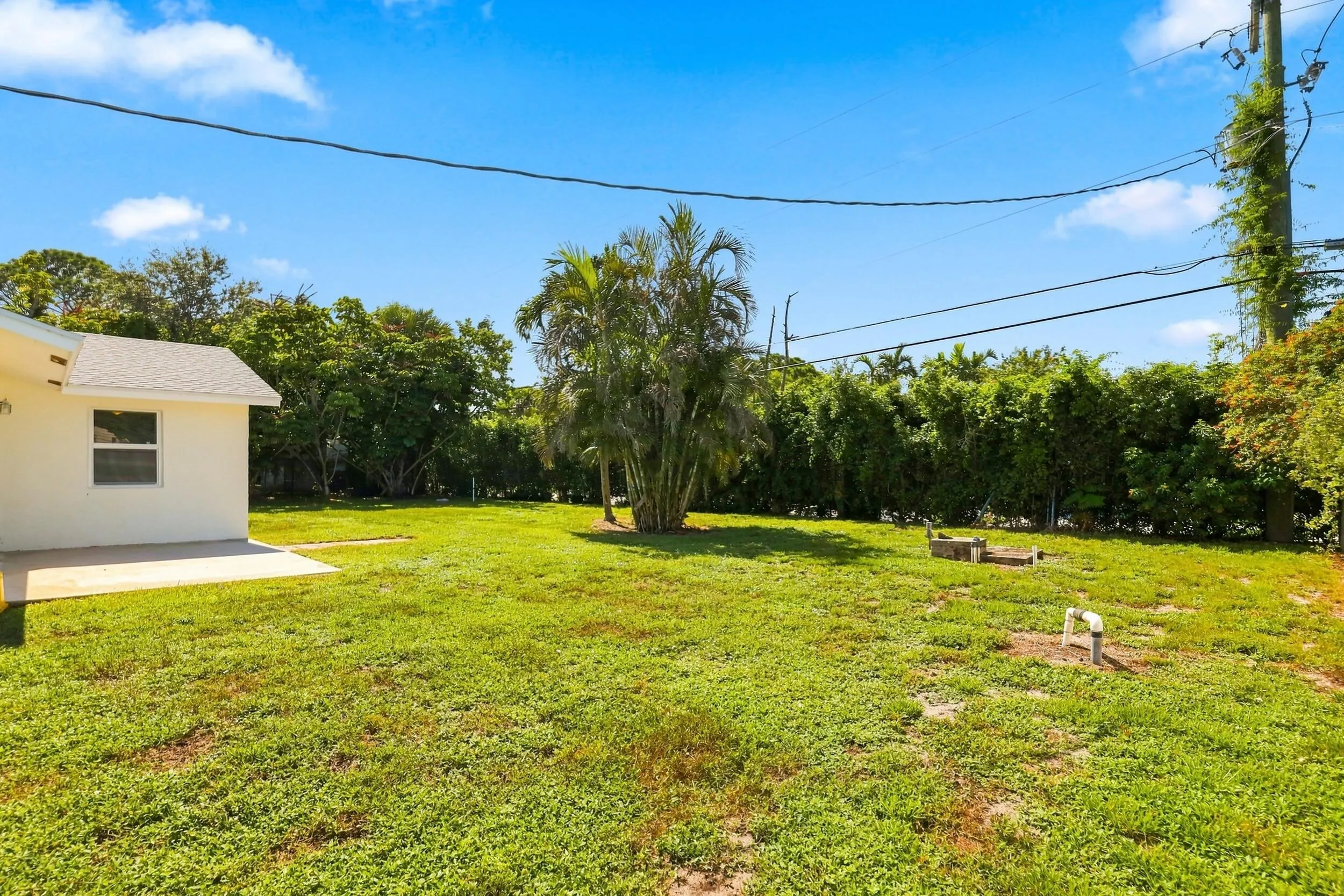 Generous grassy backyard offering plenty of outdoor space and mature landscaping.