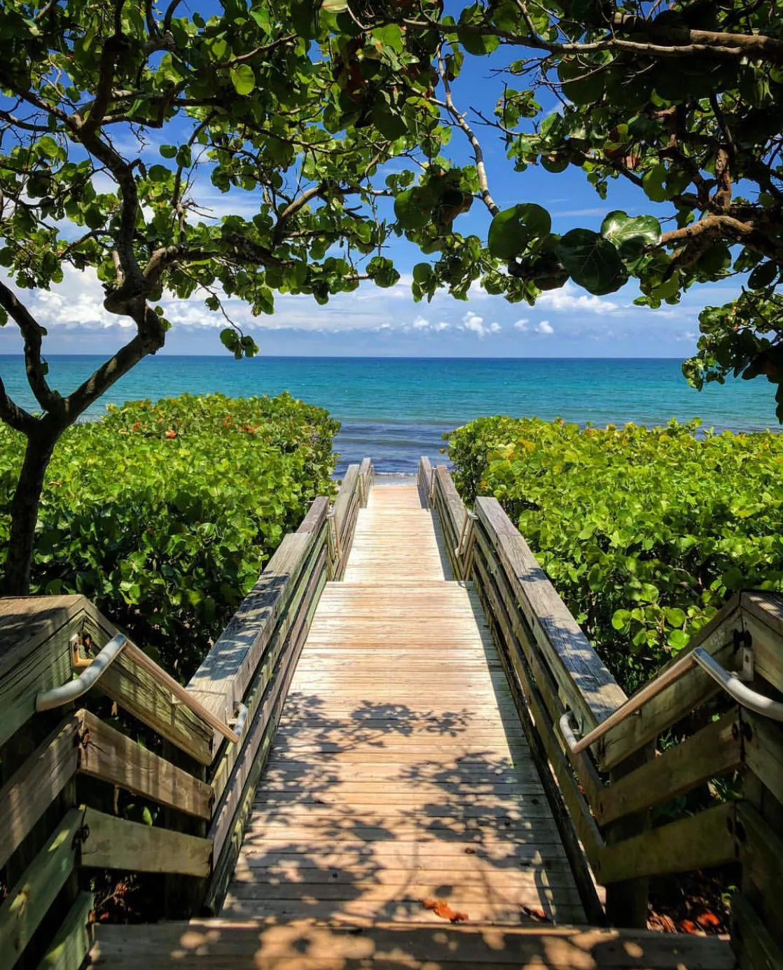 Tropical Beaches
