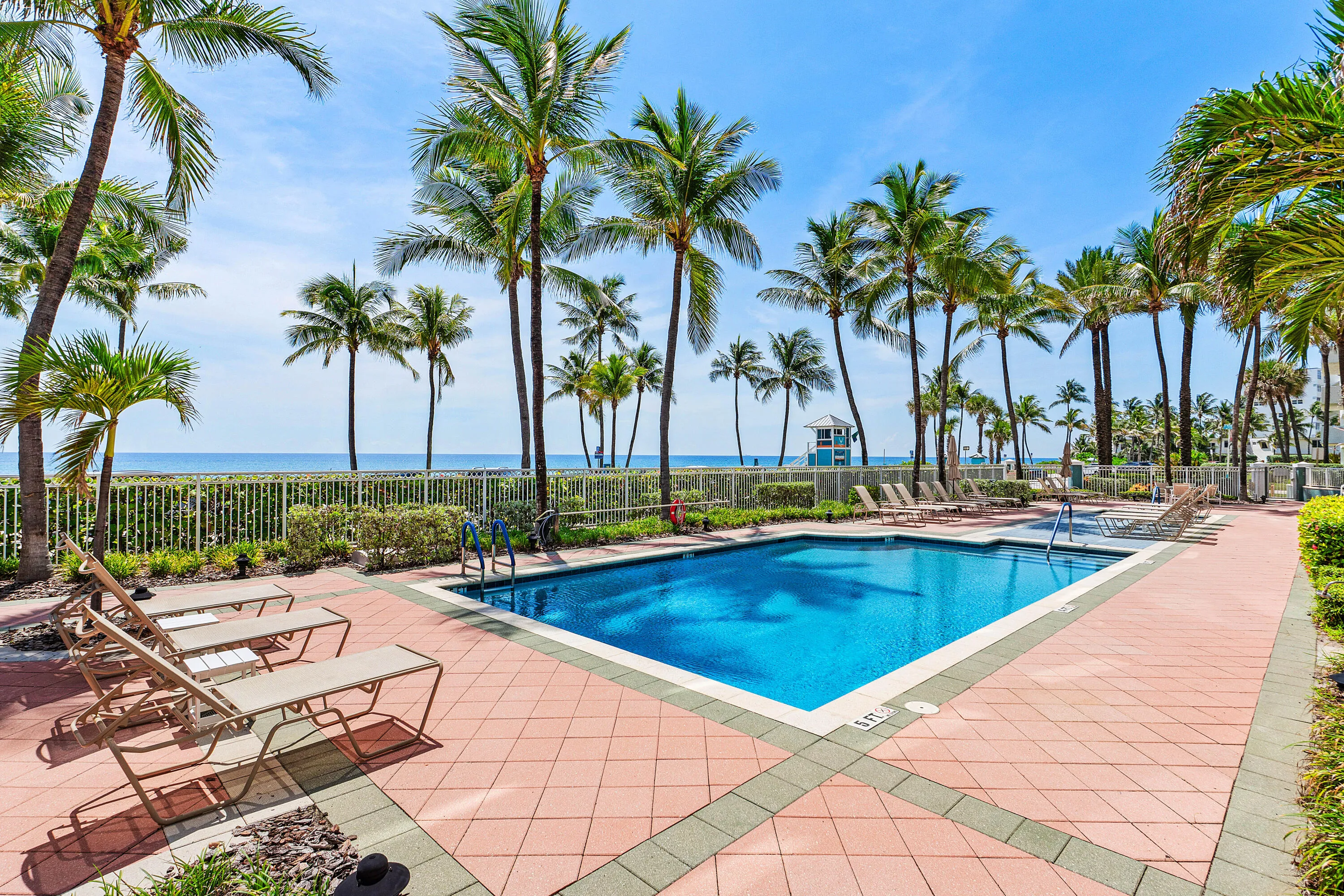 Outdoor swimming pool with a surrounding paver deck, bordered by mature palm trees and a perimeter fence