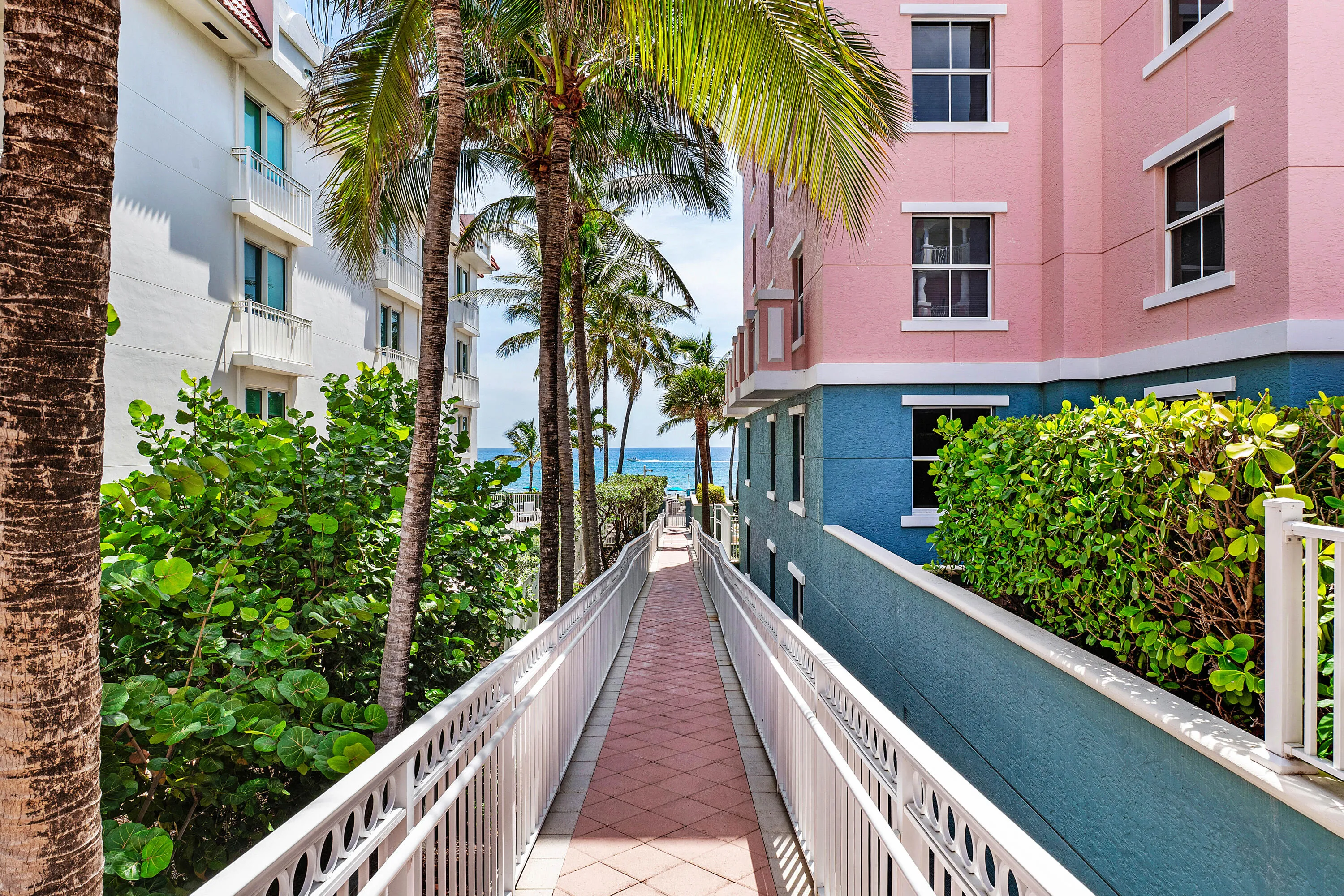 Paved pathway with white railings, flanked by lush green foliage and mature palm trees
