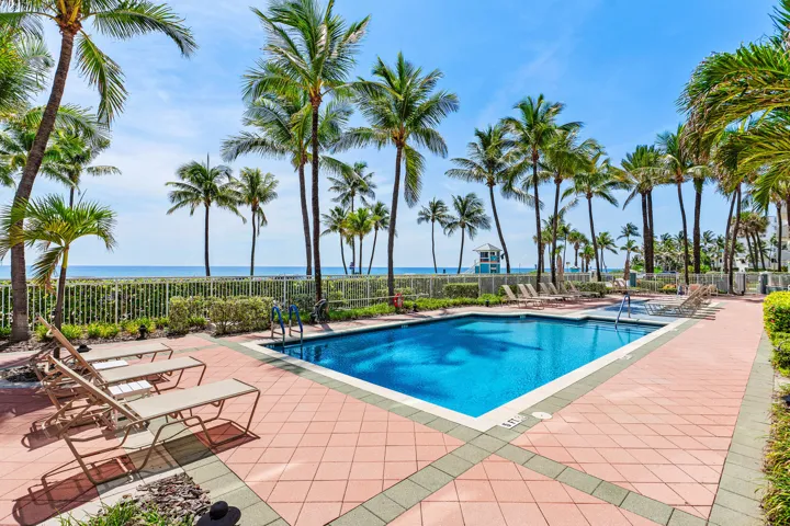 Outdoor swimming pool with a surrounding paver deck, bordered by mature palm trees and a perimeter fence