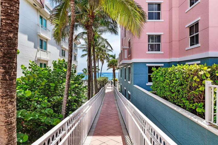 Paved pathway with white railings, flanked by lush green foliage and mature palm trees