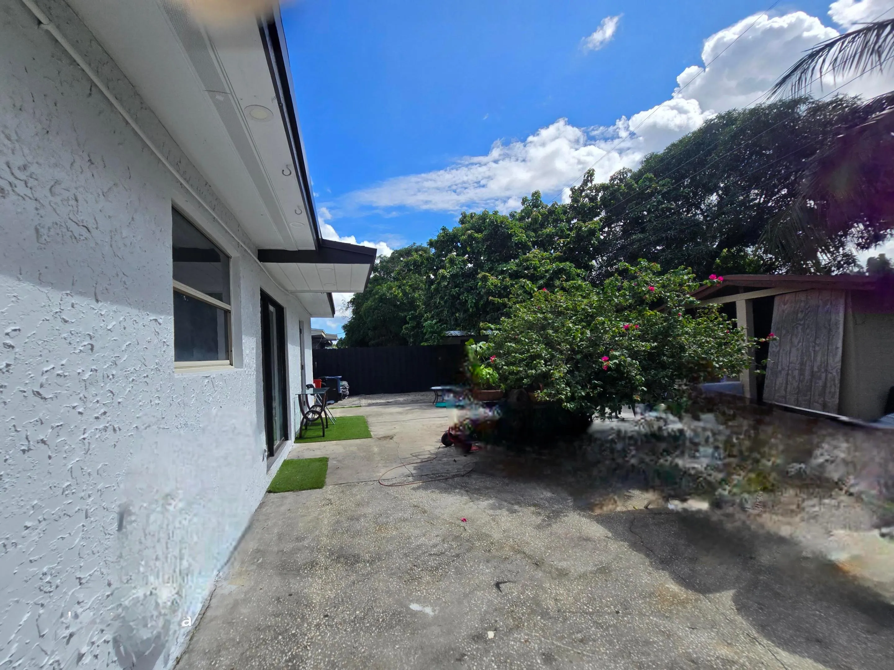 Back Yard 2