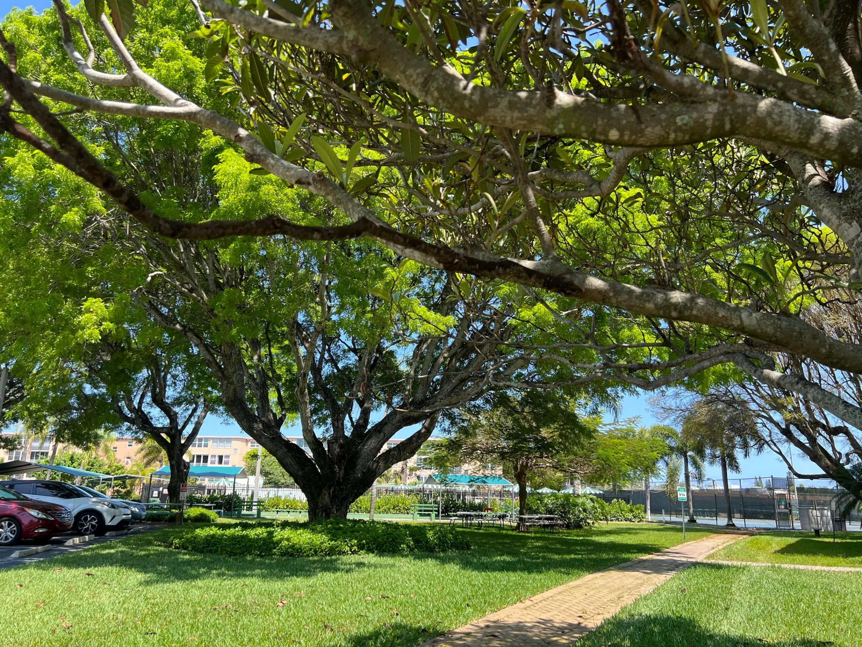 gardens