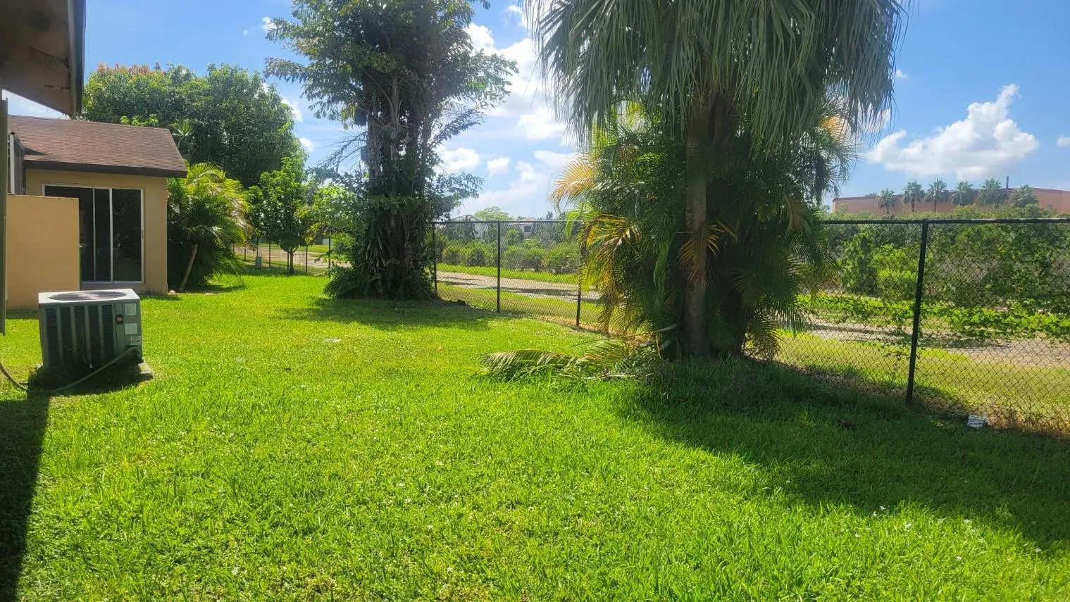 View from Backyard