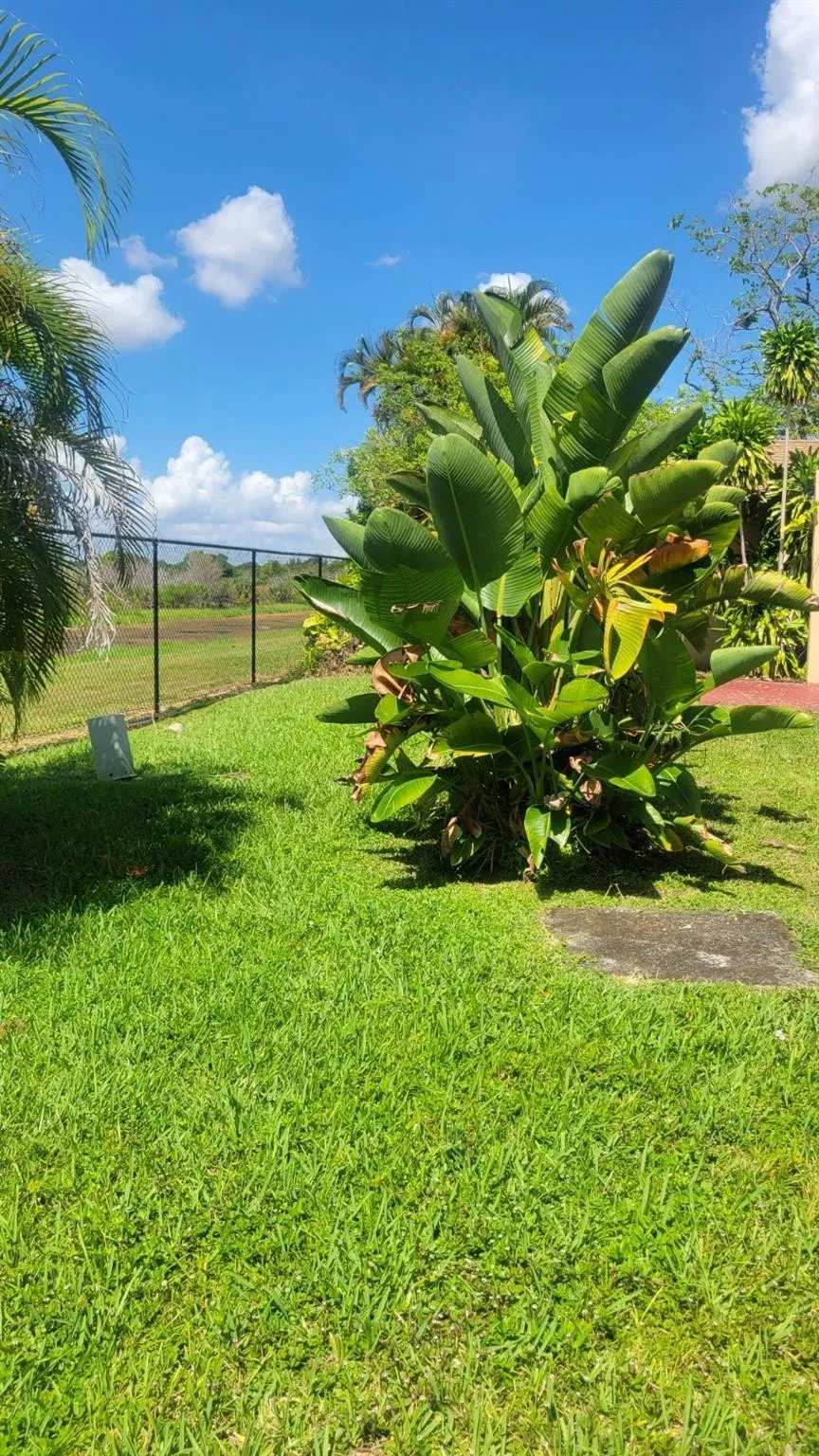 View from Backyard